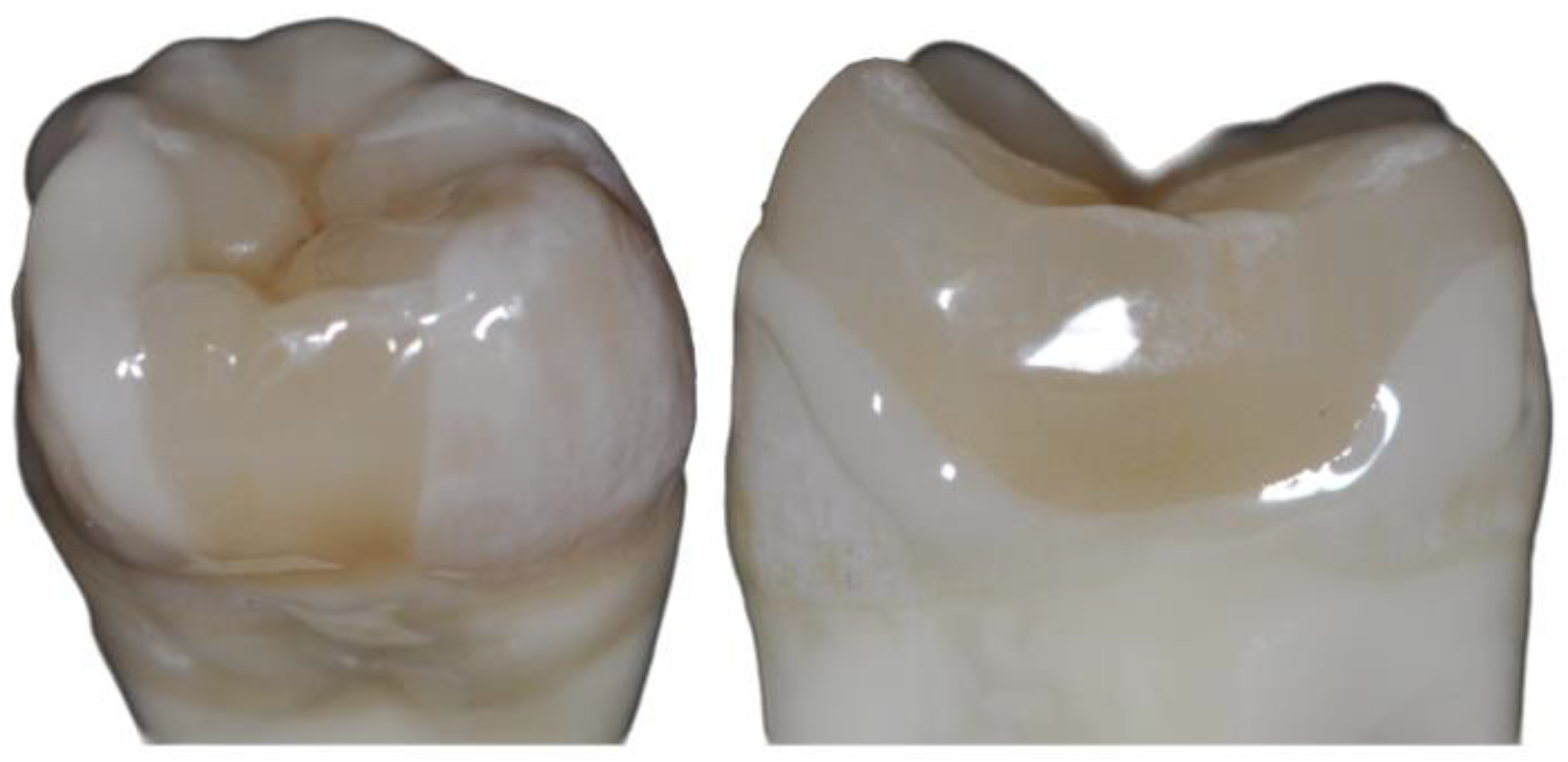 Jfb 16 00082 g003