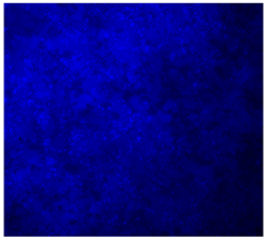 Jfb 16 00200 i010 Jfb 16 00200 i010