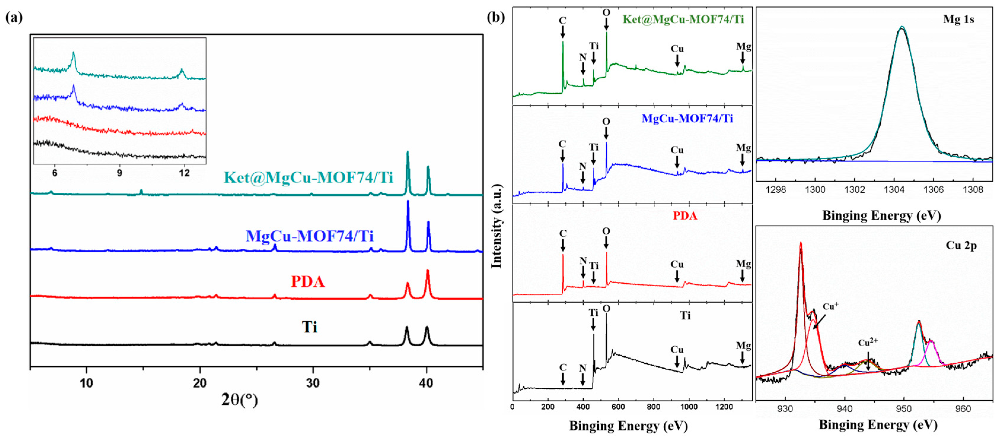 Jfb 16 00222 g005