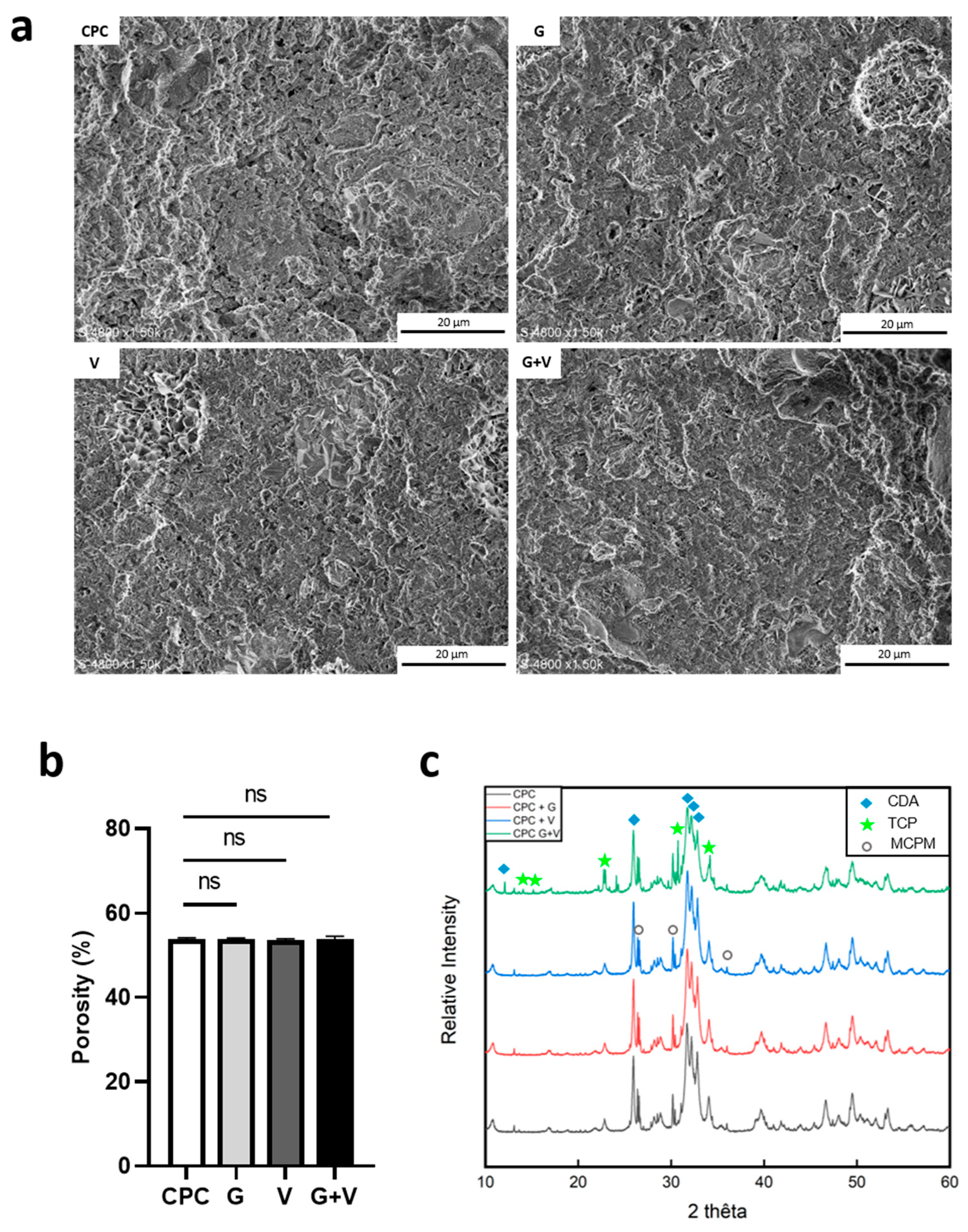 Jfb 16 00320 g002 Jfb 16 00320 g002