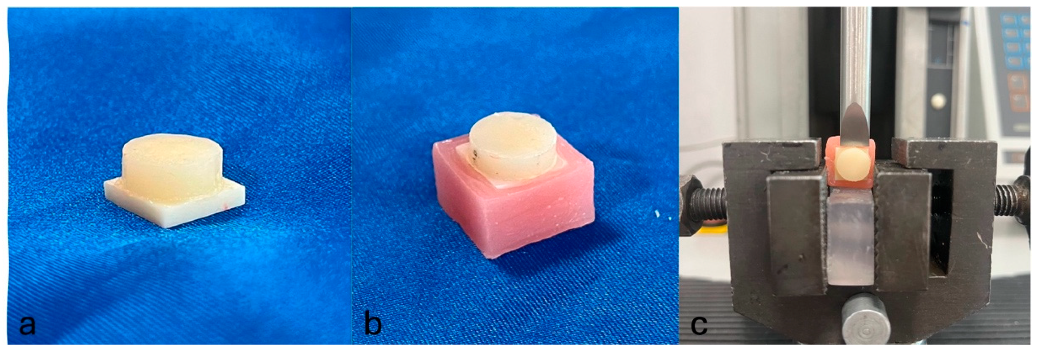 Jfb 16 00355 g001 Jfb 16 00355 g001