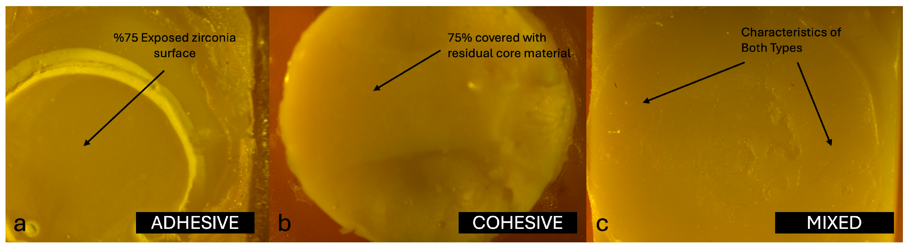 Jfb 16 00355 g002 Jfb 16 00355 g002