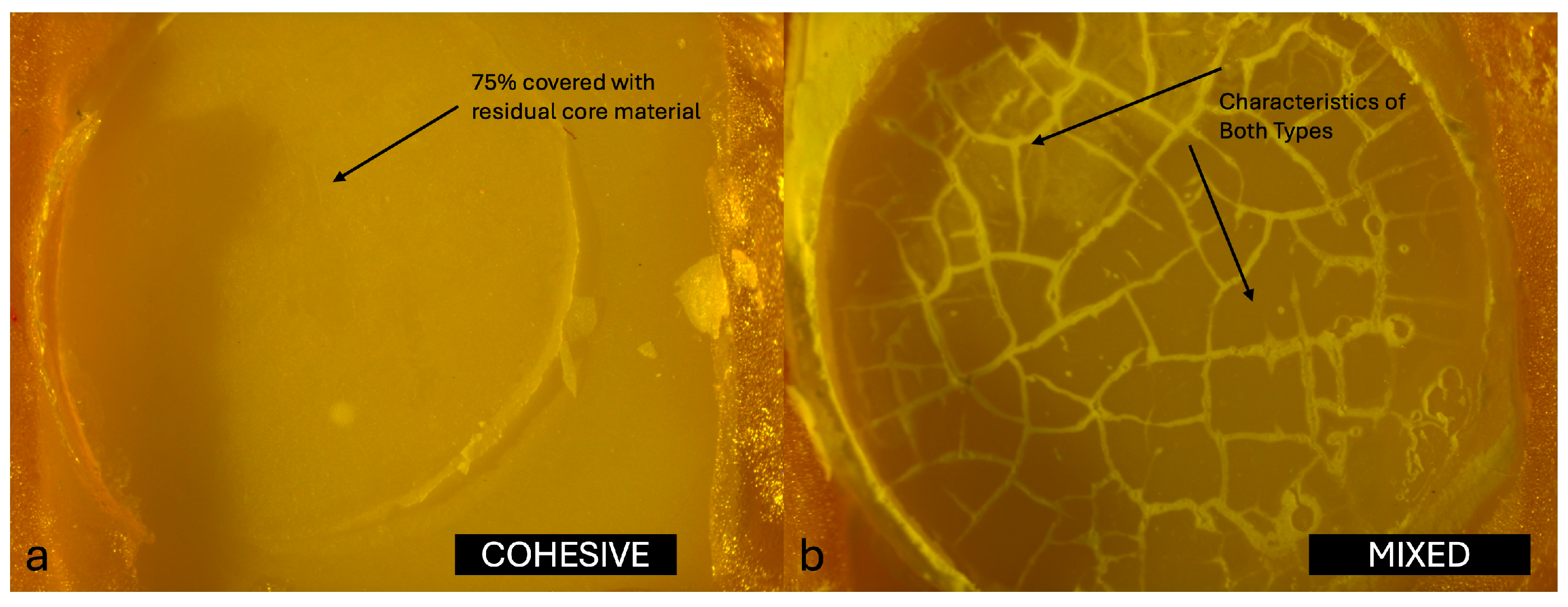 Jfb 16 00355 g003 Jfb 16 00355 g003