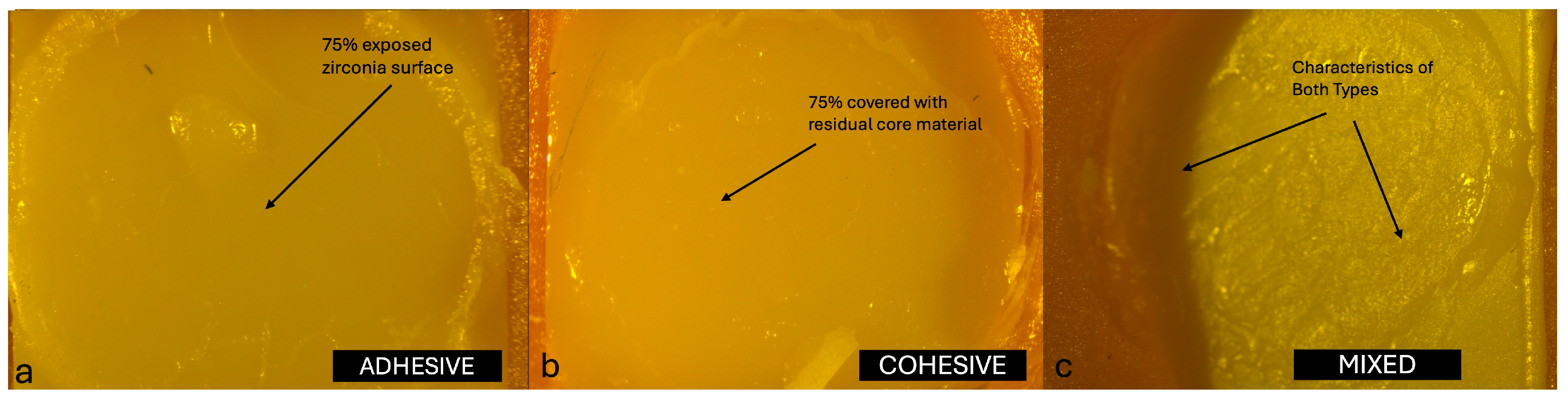 Jfb 16 00355 g004 Jfb 16 00355 g004