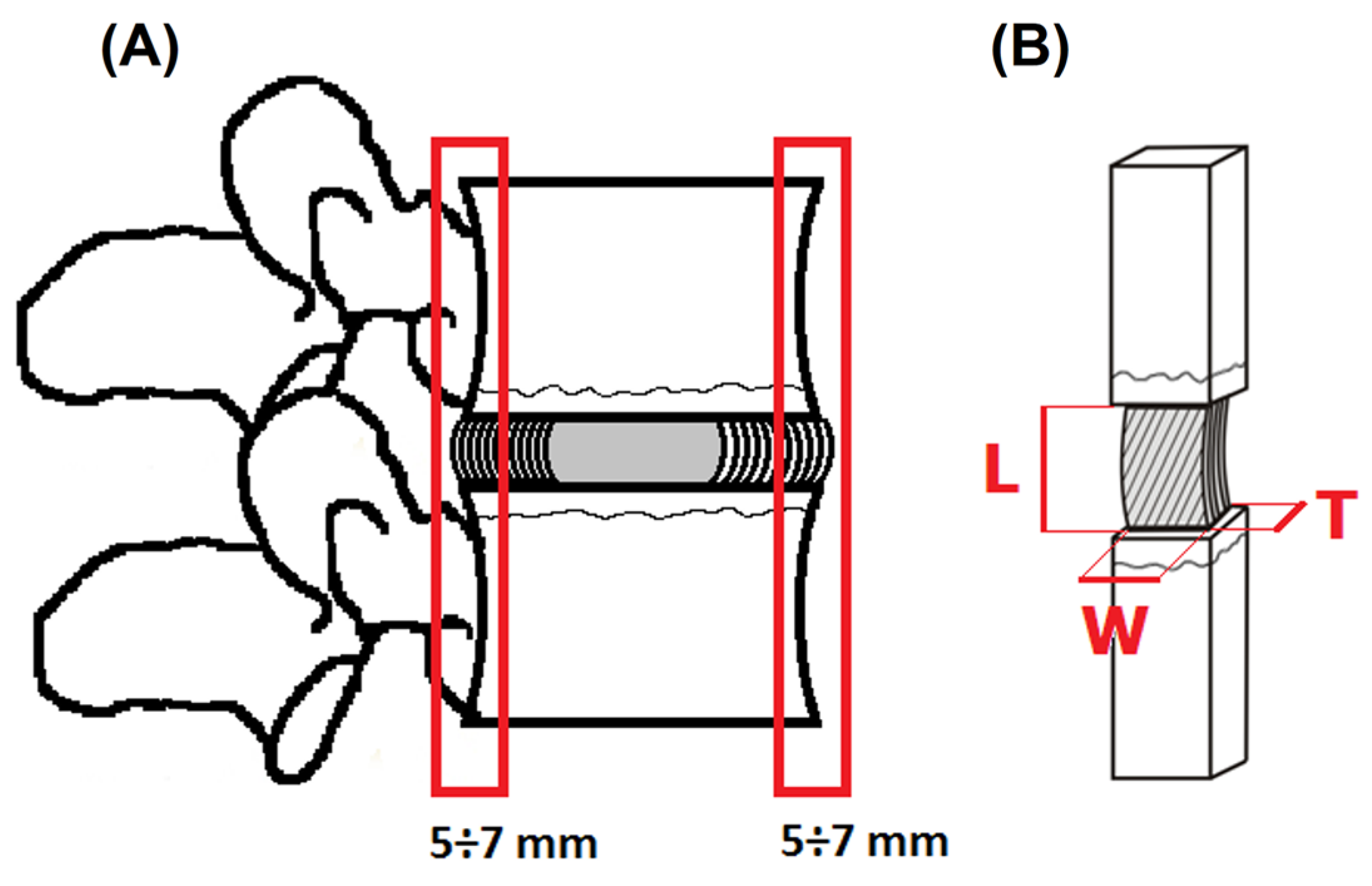 Jfb 16 00365 g001 Jfb 16 00365 g001