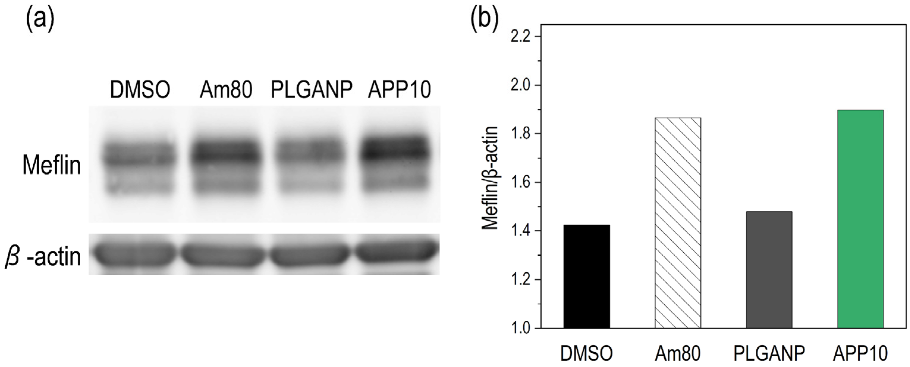 Jfb 16 00368 g005 Jfb 16 00368 g005