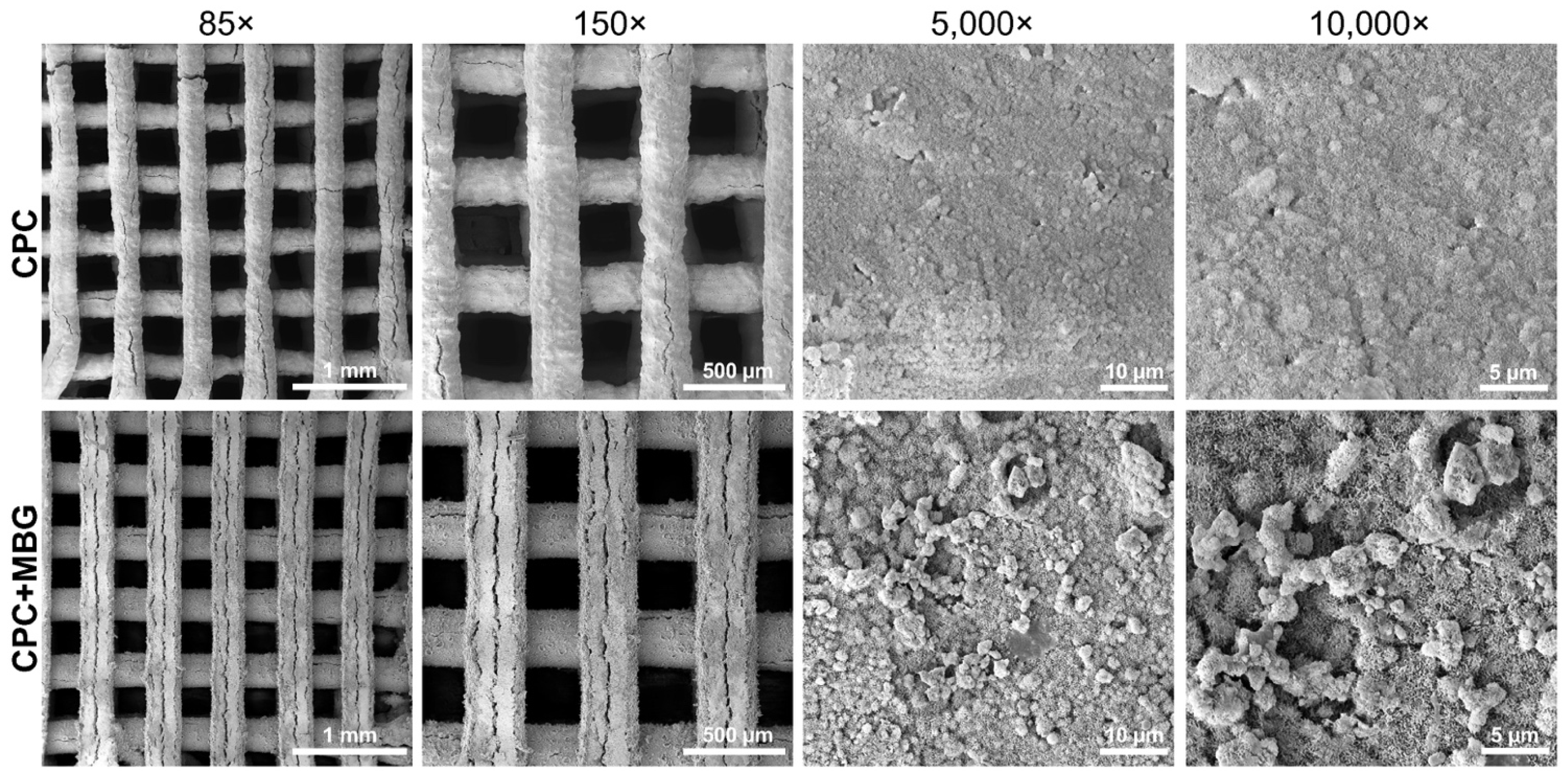 Jfb 16 00463 g005 Jfb 16 00463 g005