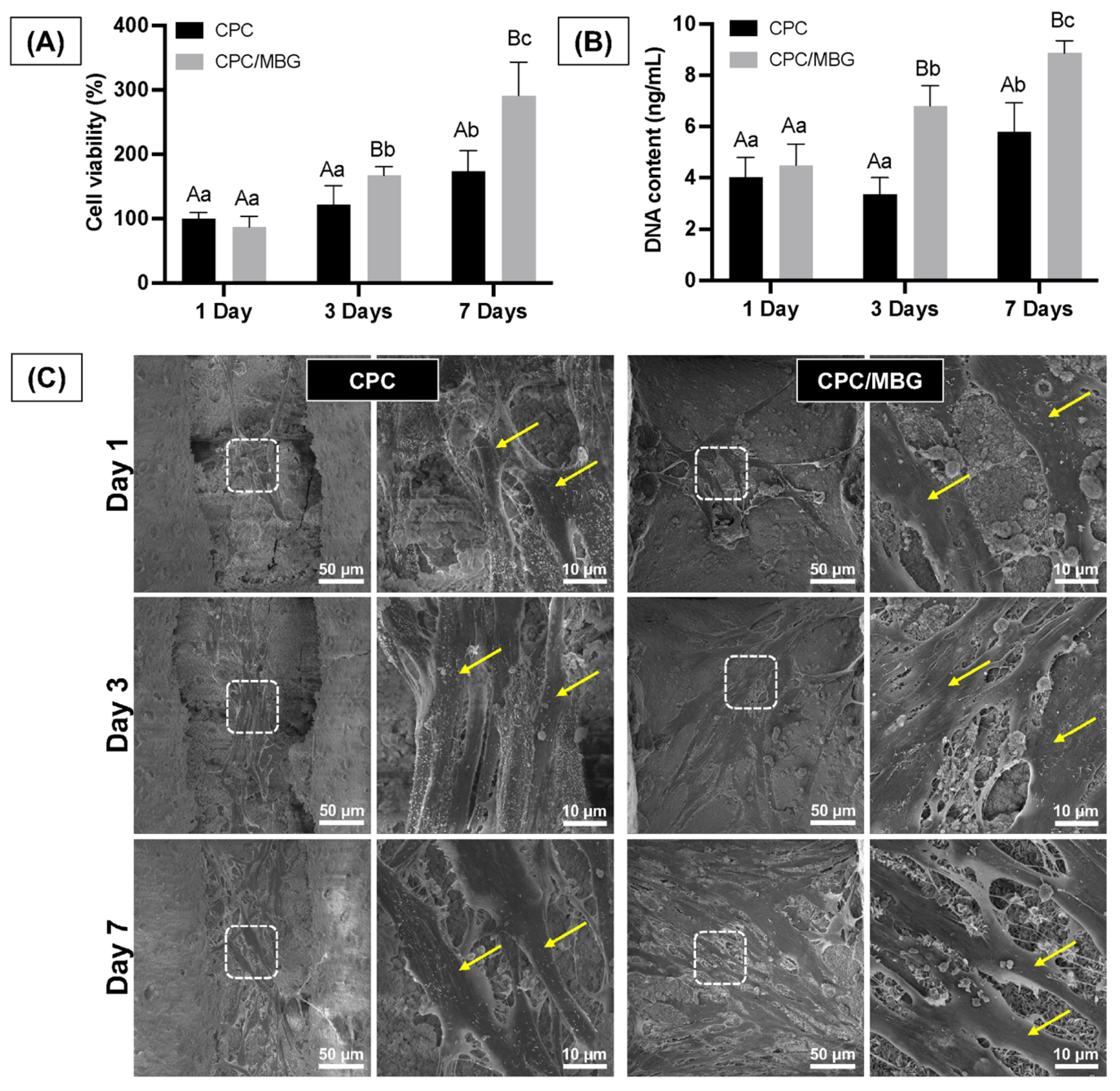 Jfb 16 00463 g008 Jfb 16 00463 g008