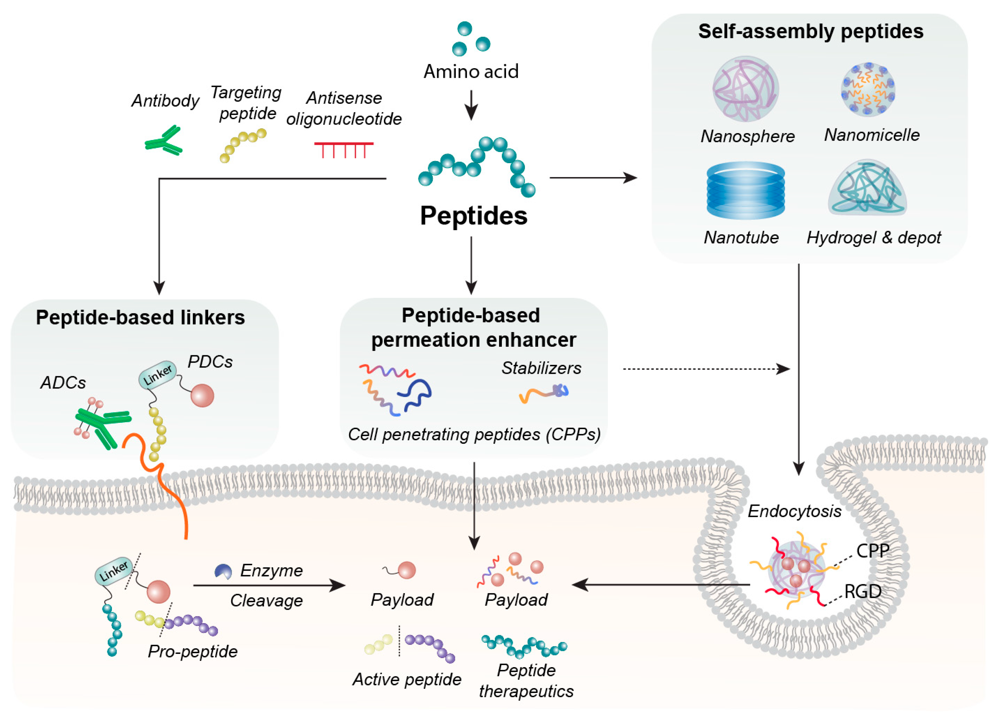 Jfb 17 00037 g001 Jfb 17 00037 g001