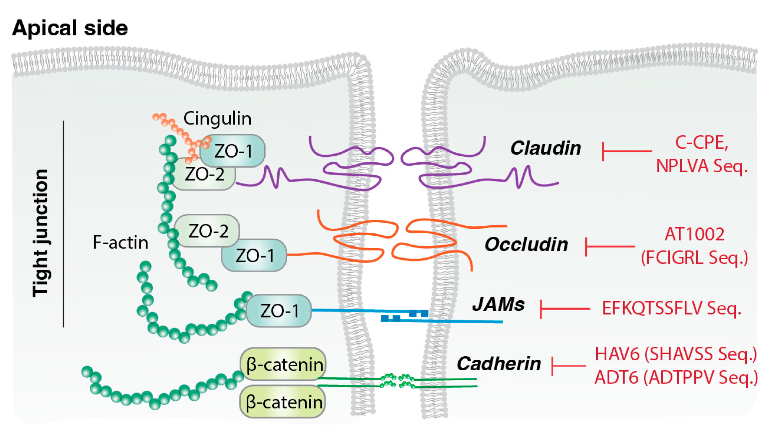 Jfb 17 00037 g002 Jfb 17 00037 g002