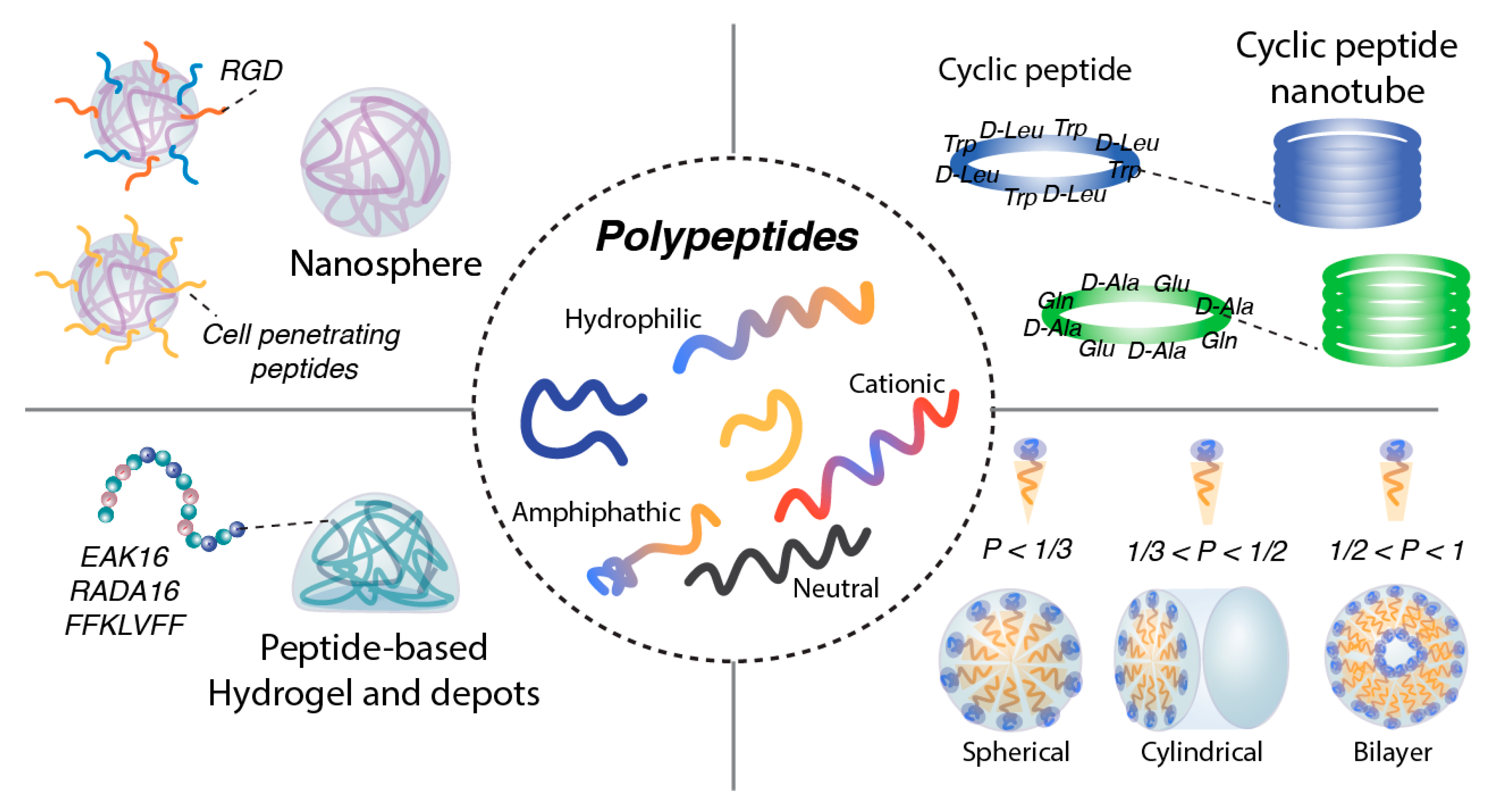 Jfb 17 00037 g003 Jfb 17 00037 g003