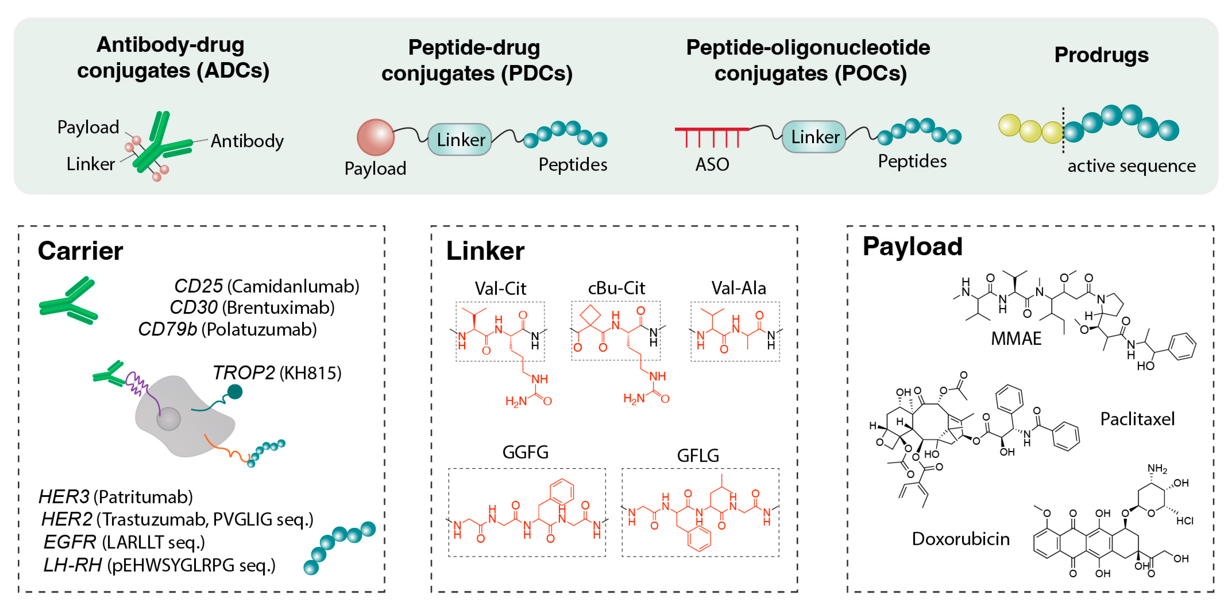 Jfb 17 00037 g004 Jfb 17 00037 g004