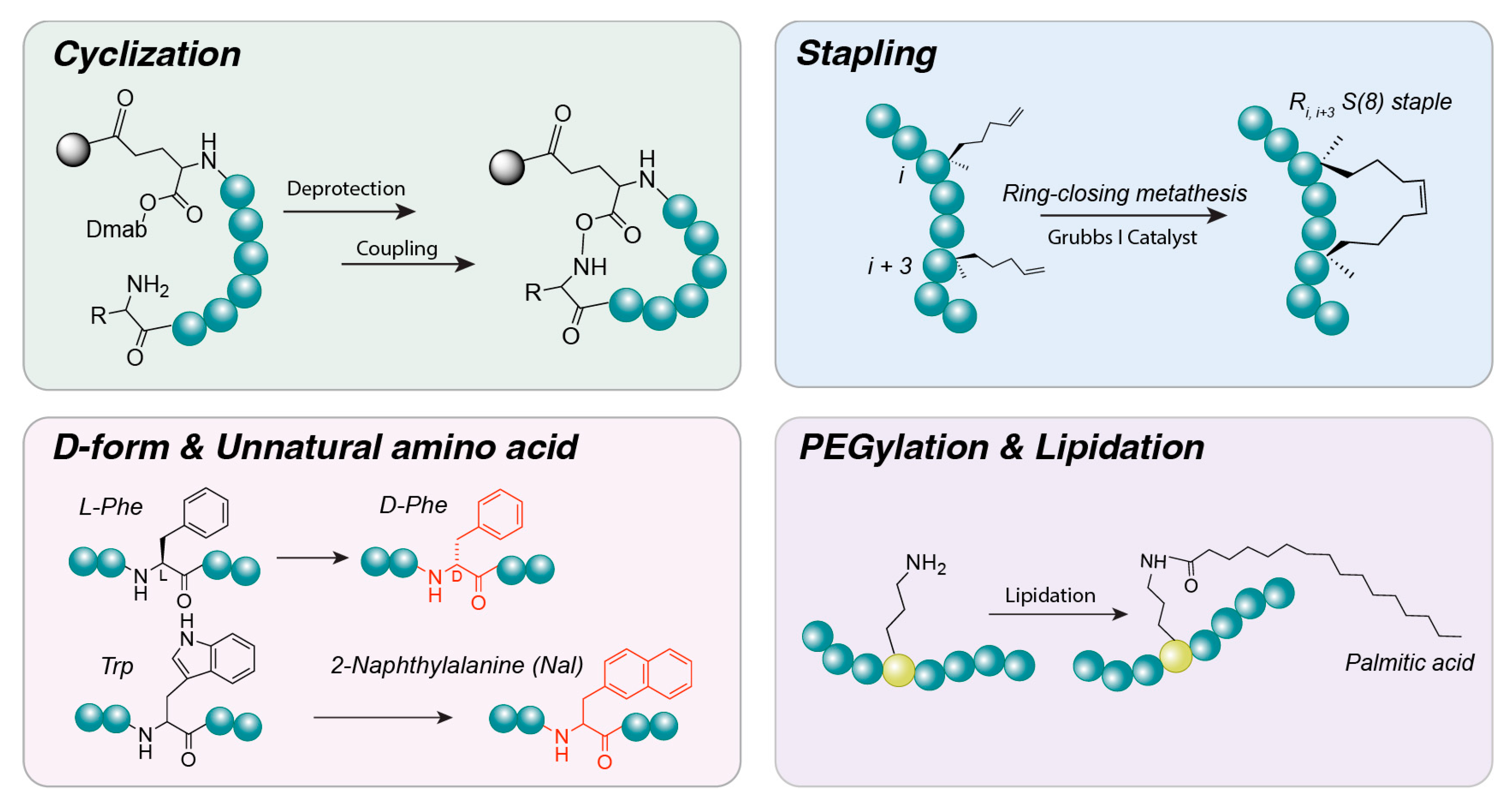Jfb 17 00037 g005 Jfb 17 00037 g005