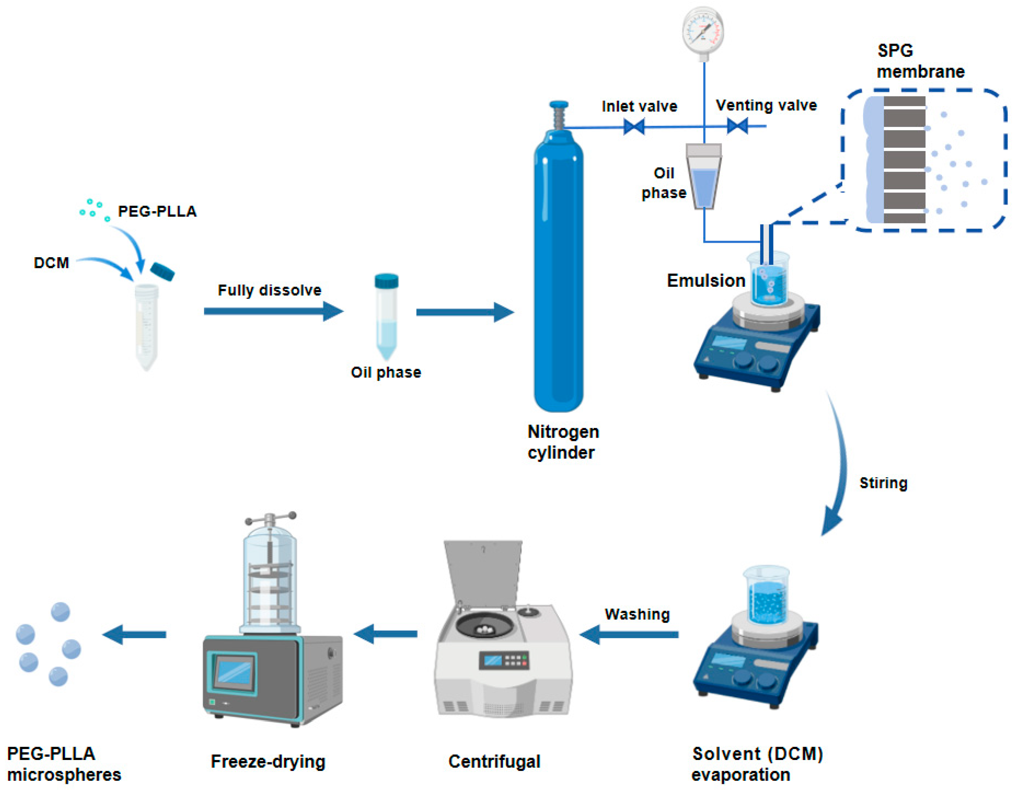 Jfb 17 00071 g001 Jfb 17 00071 g001