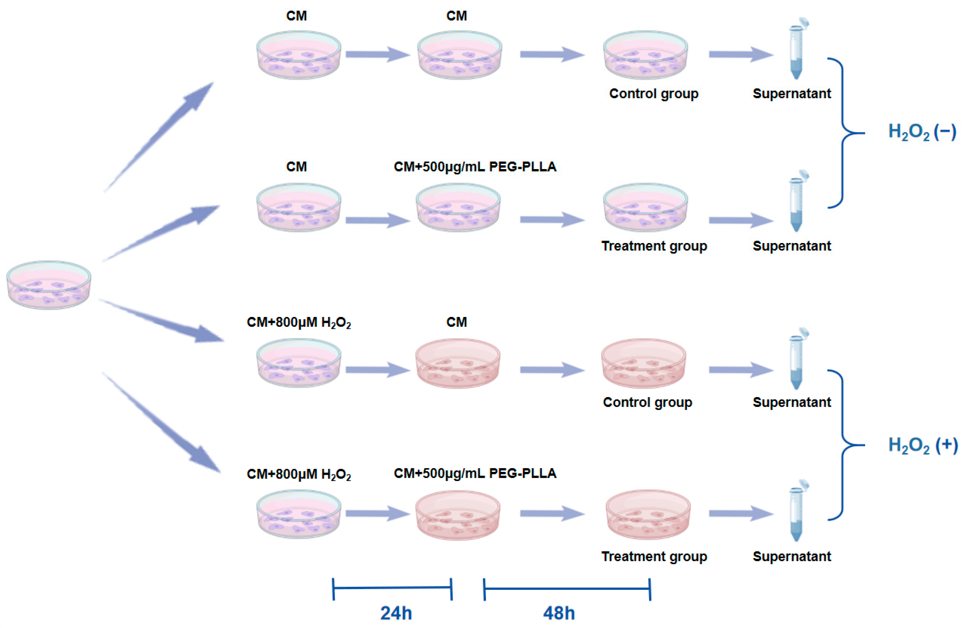 Jfb 17 00071 g002 Jfb 17 00071 g002