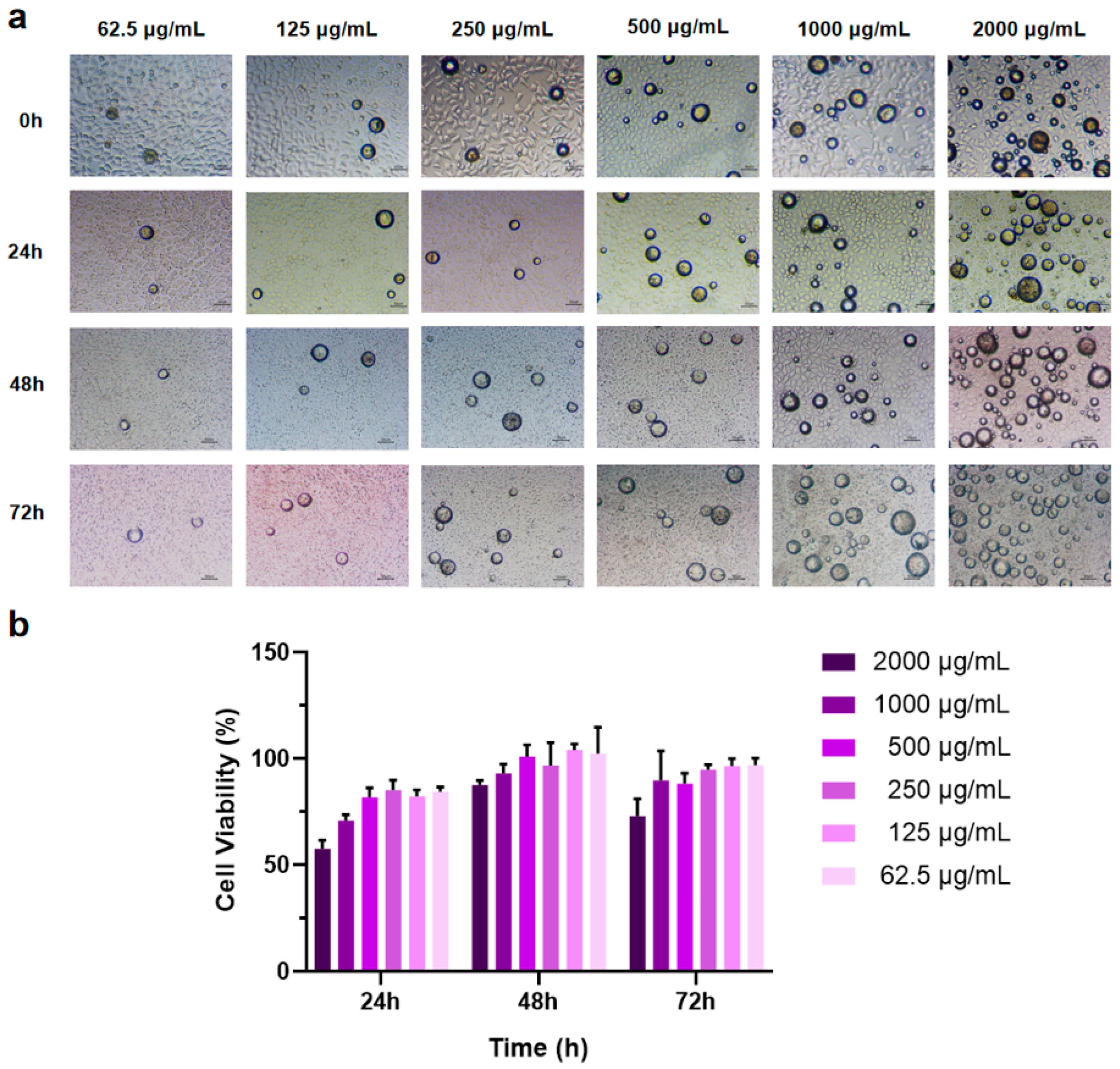 Jfb 17 00071 g007 Jfb 17 00071 g007