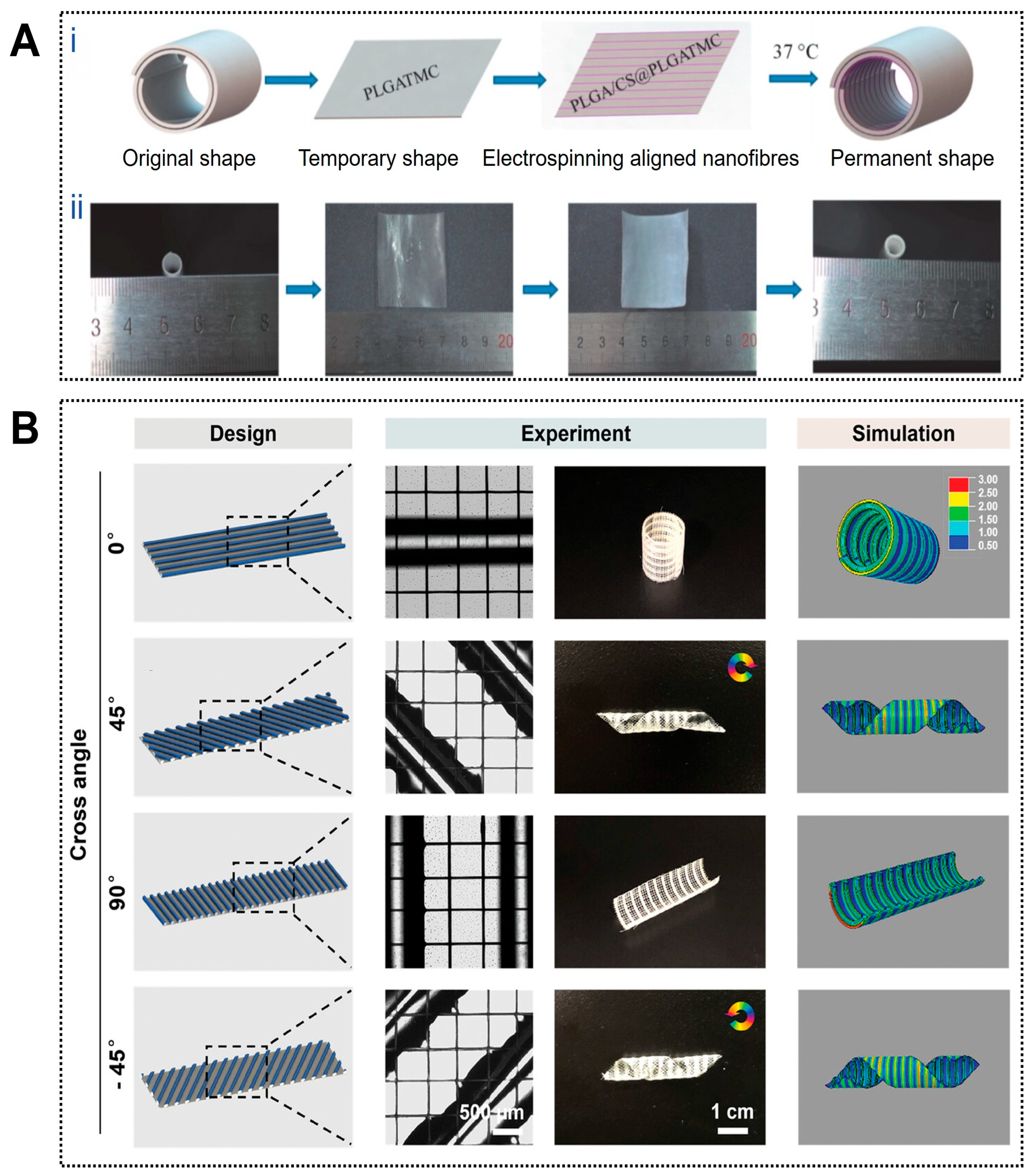 Jfb 17 00072 g003 Jfb 17 00072 g003
