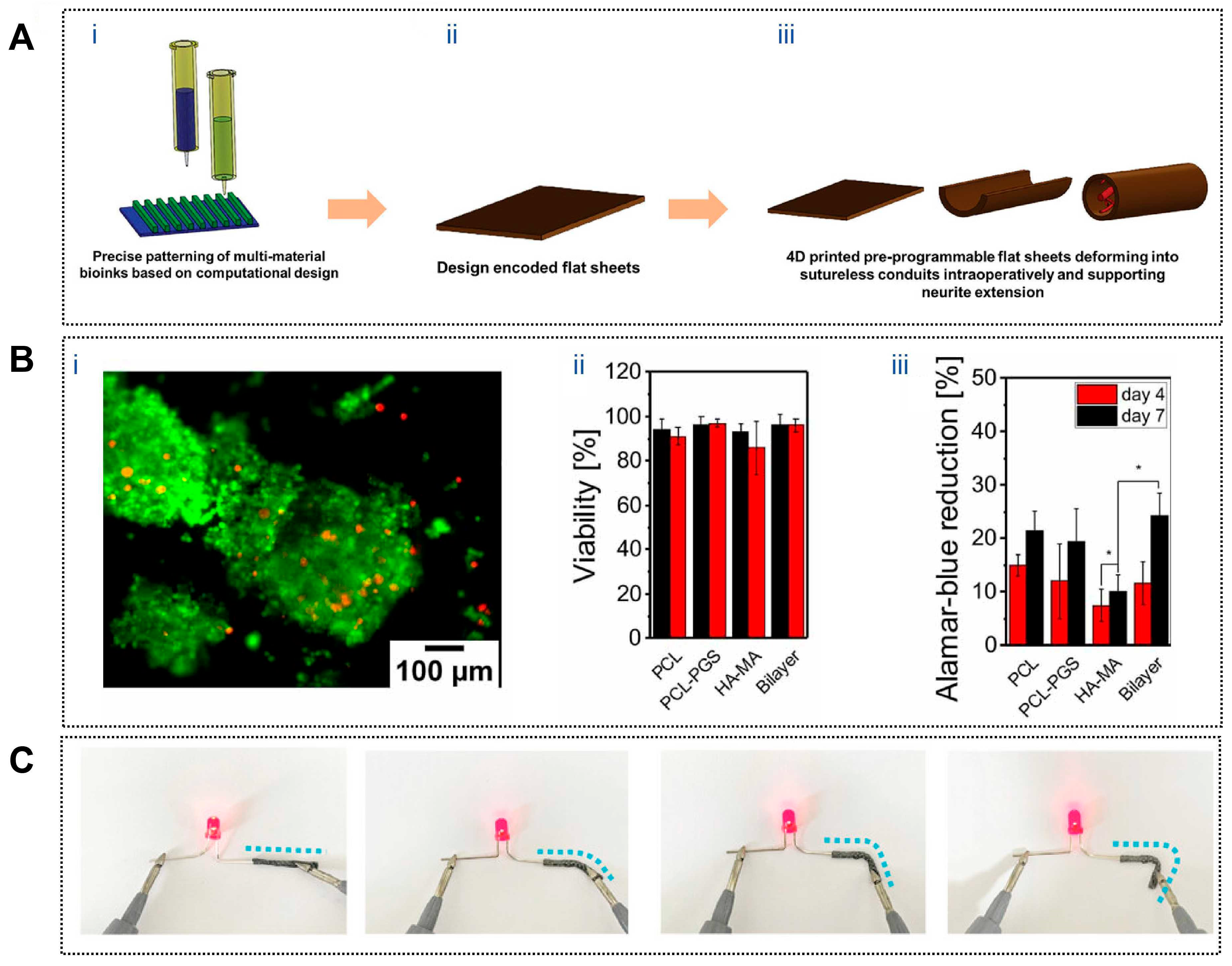 Jfb 17 00072 g004 Jfb 17 00072 g004