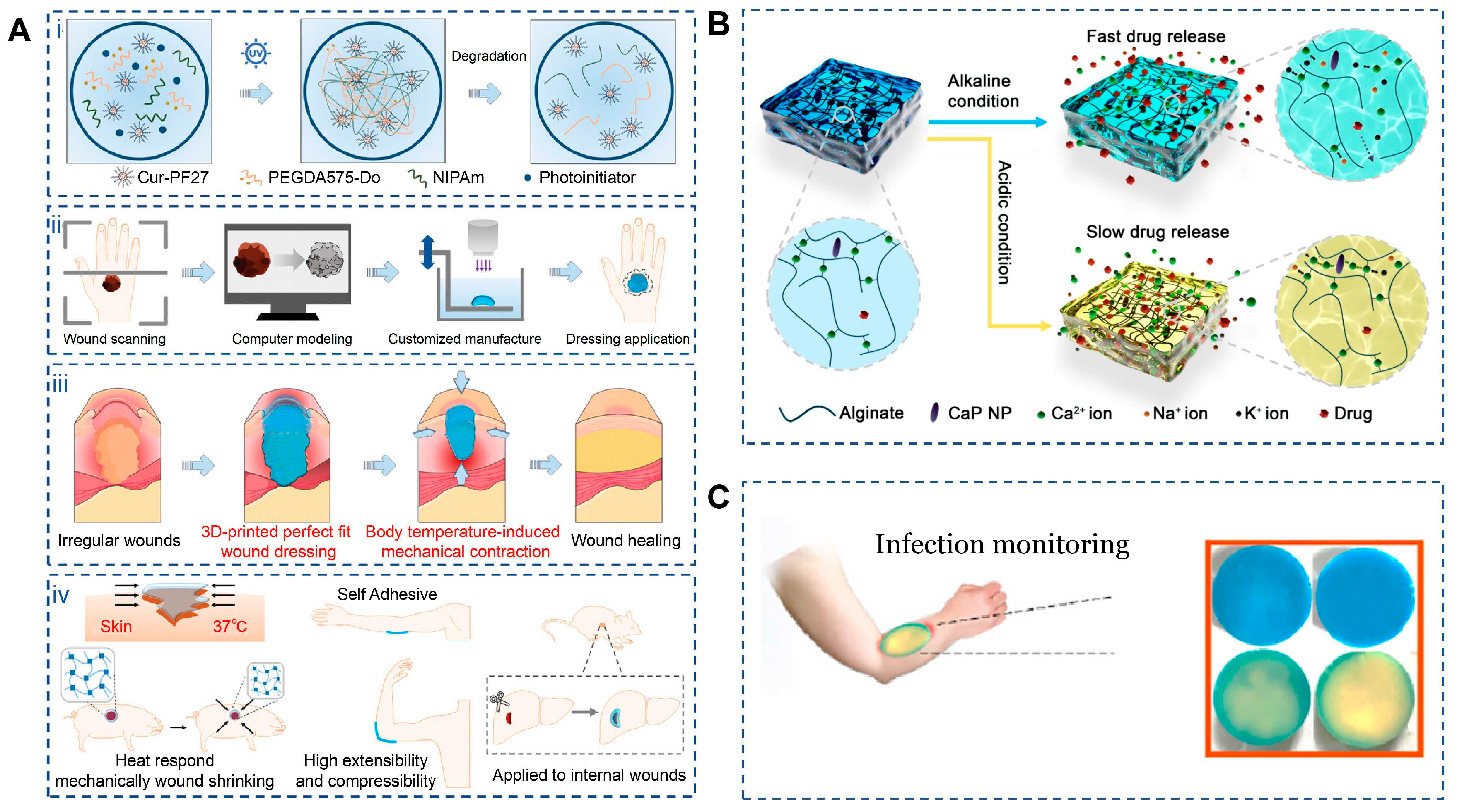 Jfb 17 00072 g005 Jfb 17 00072 g005