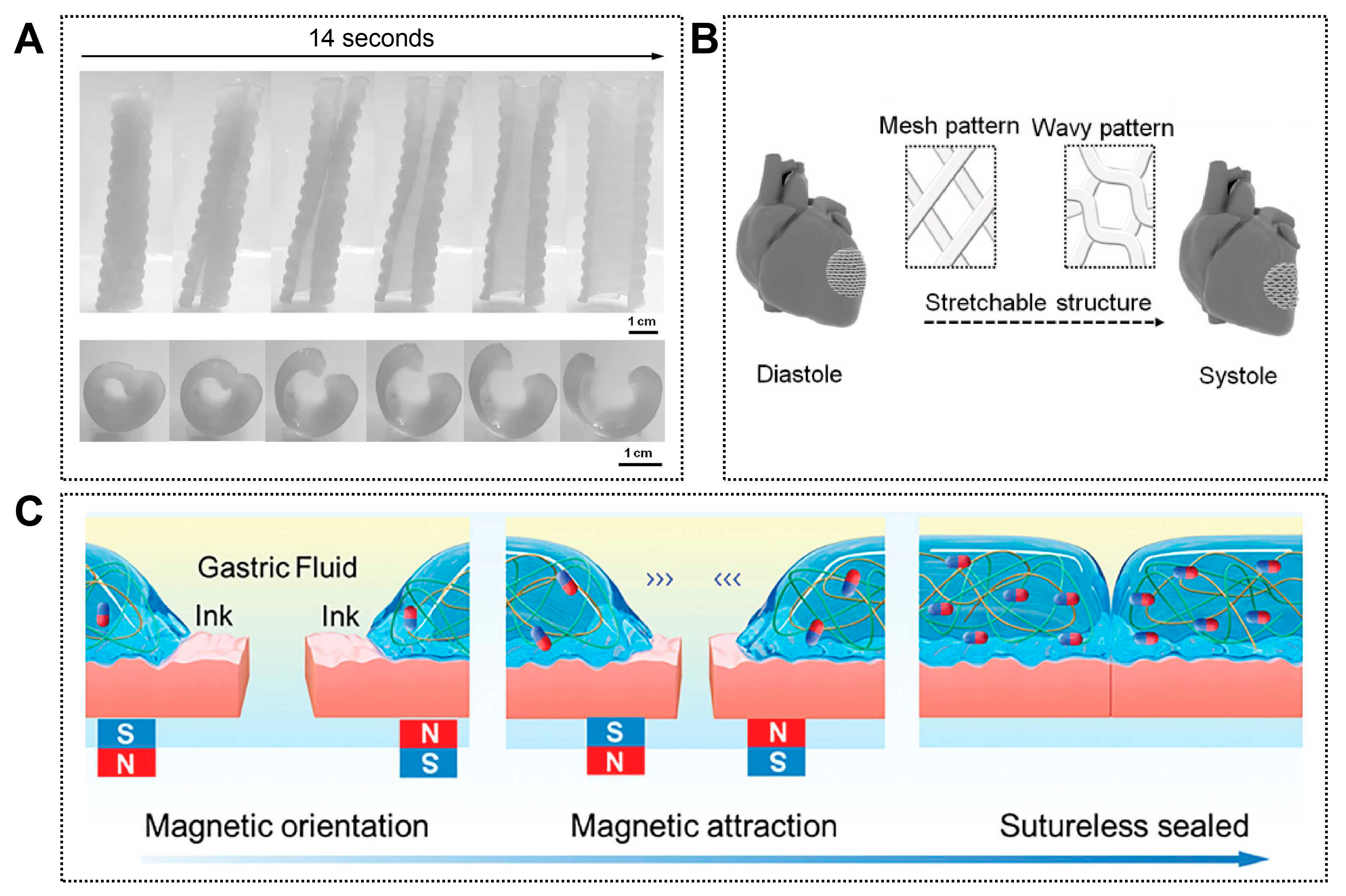 Jfb 17 00072 g006 Jfb 17 00072 g006