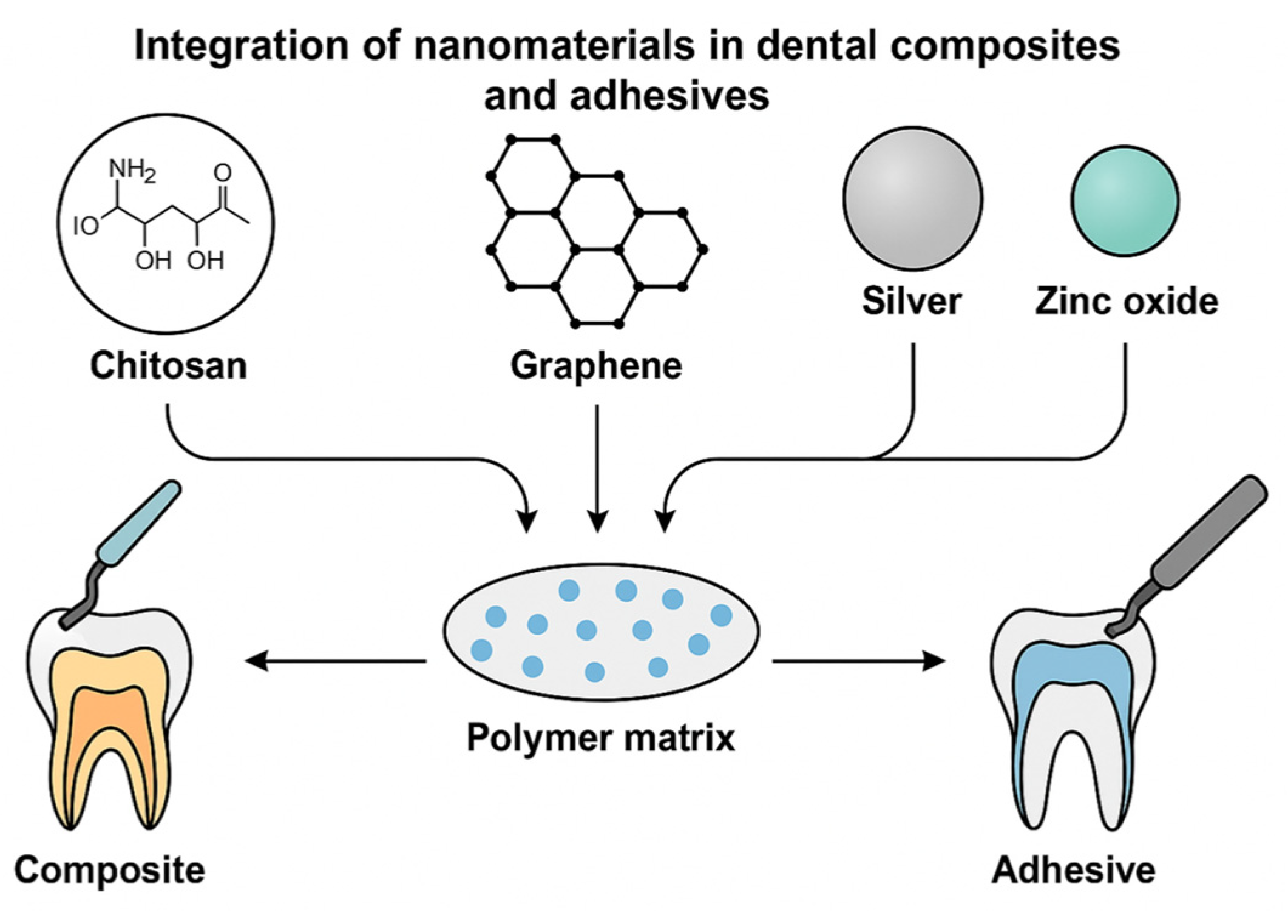 Jfb 17 00087 g001 Jfb 17 00087 g001