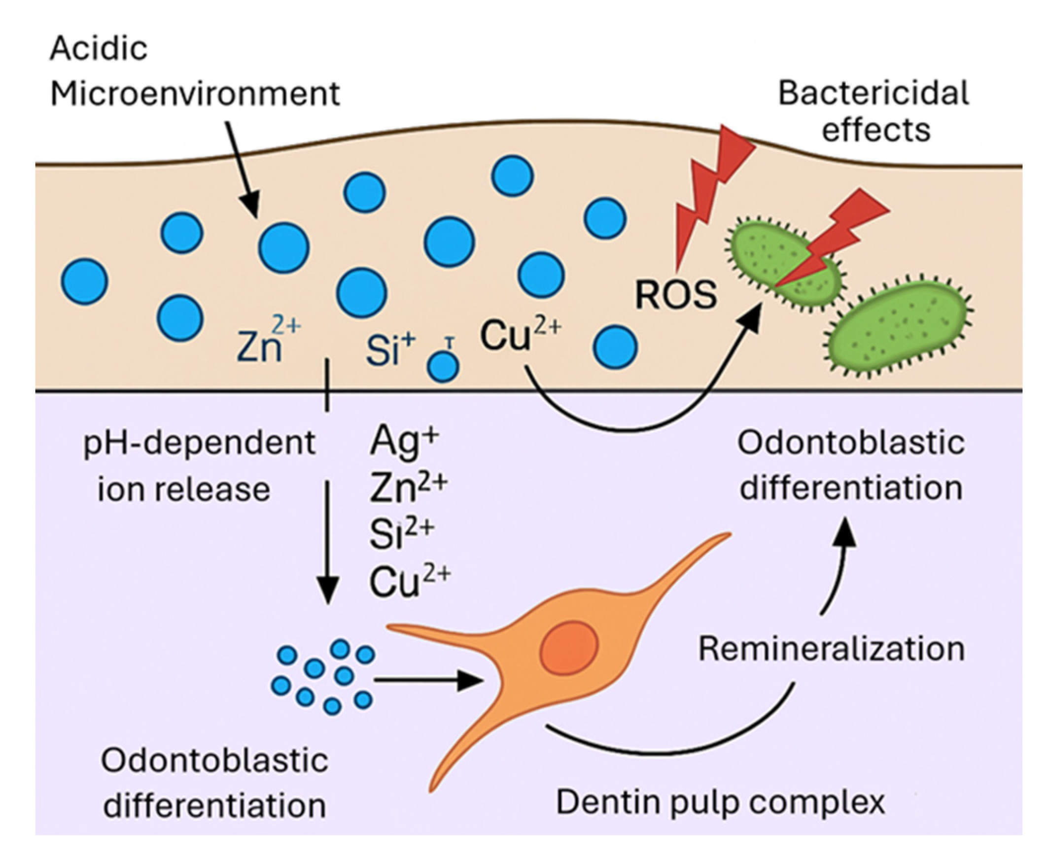 Jfb 17 00087 g002 Jfb 17 00087 g002