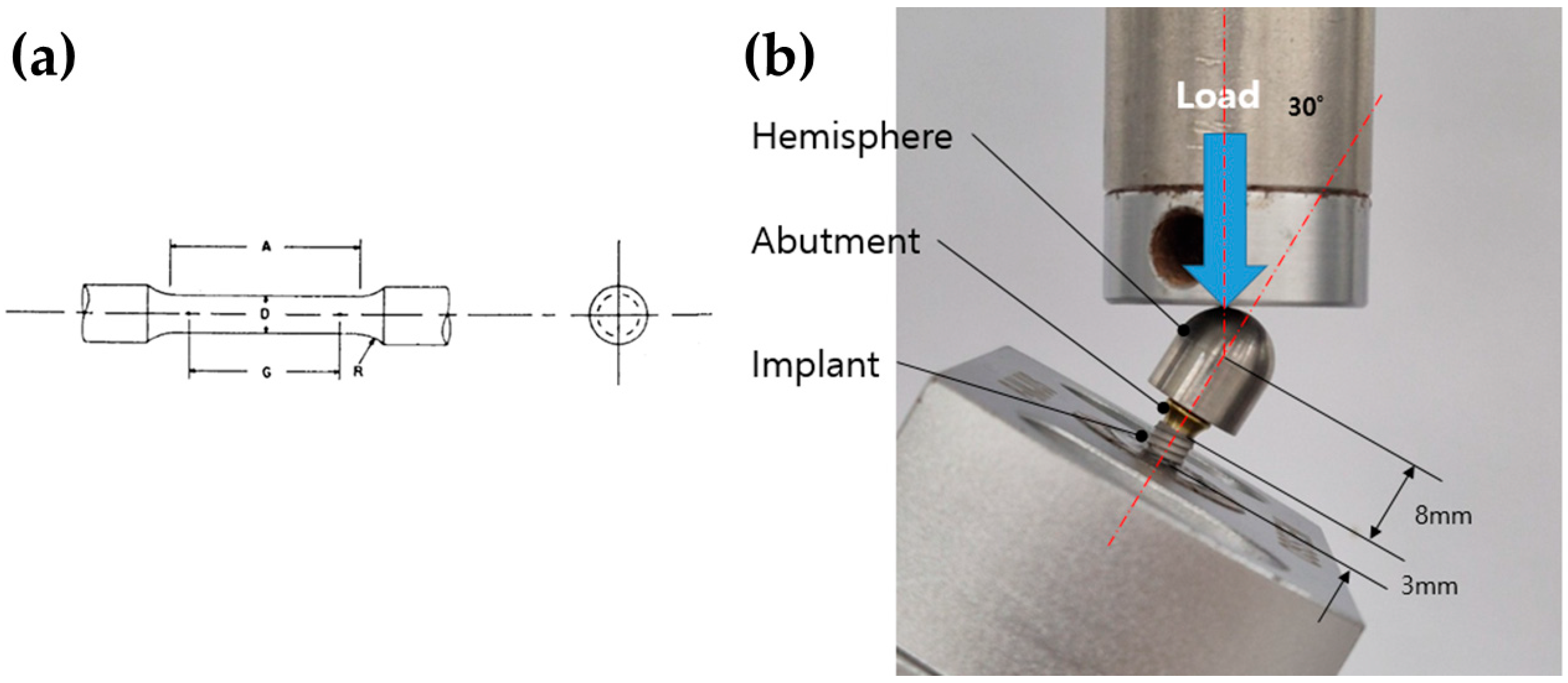 Jfb 17 00096 g001 Jfb 17 00096 g001
