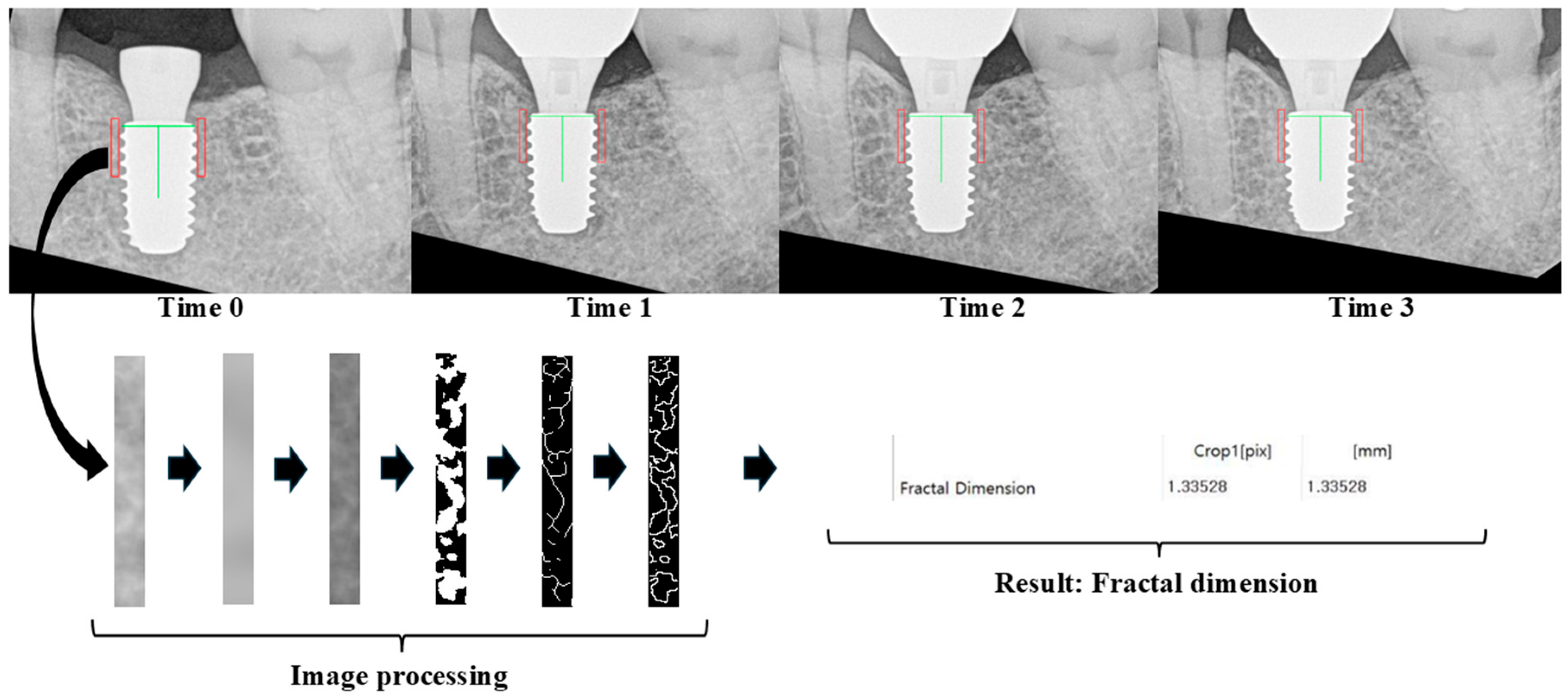 Jfb 17 00096 g003 Jfb 17 00096 g003
