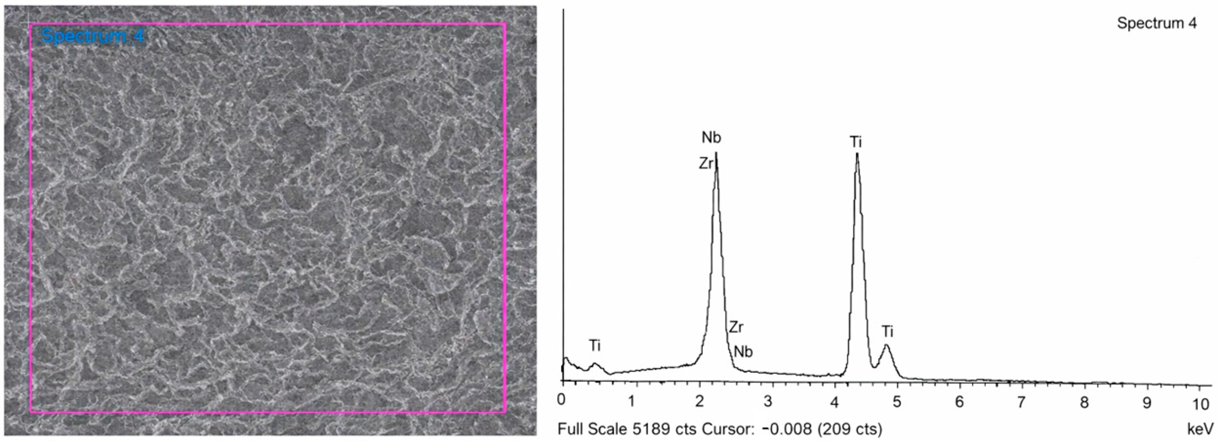 Jfb 17 00096 g004 Jfb 17 00096 g004