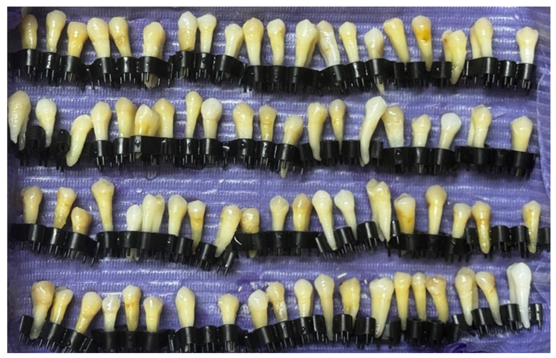 Jfb 17 00110 g001 Jfb 17 00110 g001