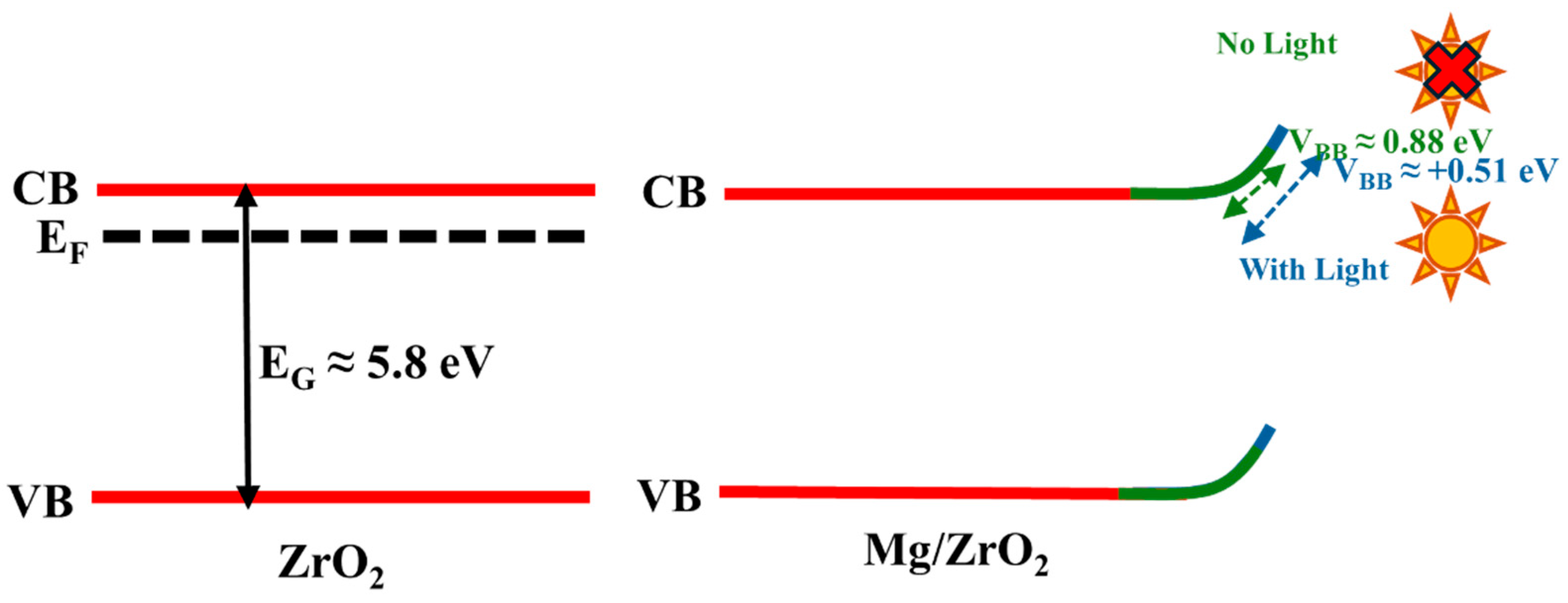 Jfb 17 00158 g009 Jfb 17 00158 g009