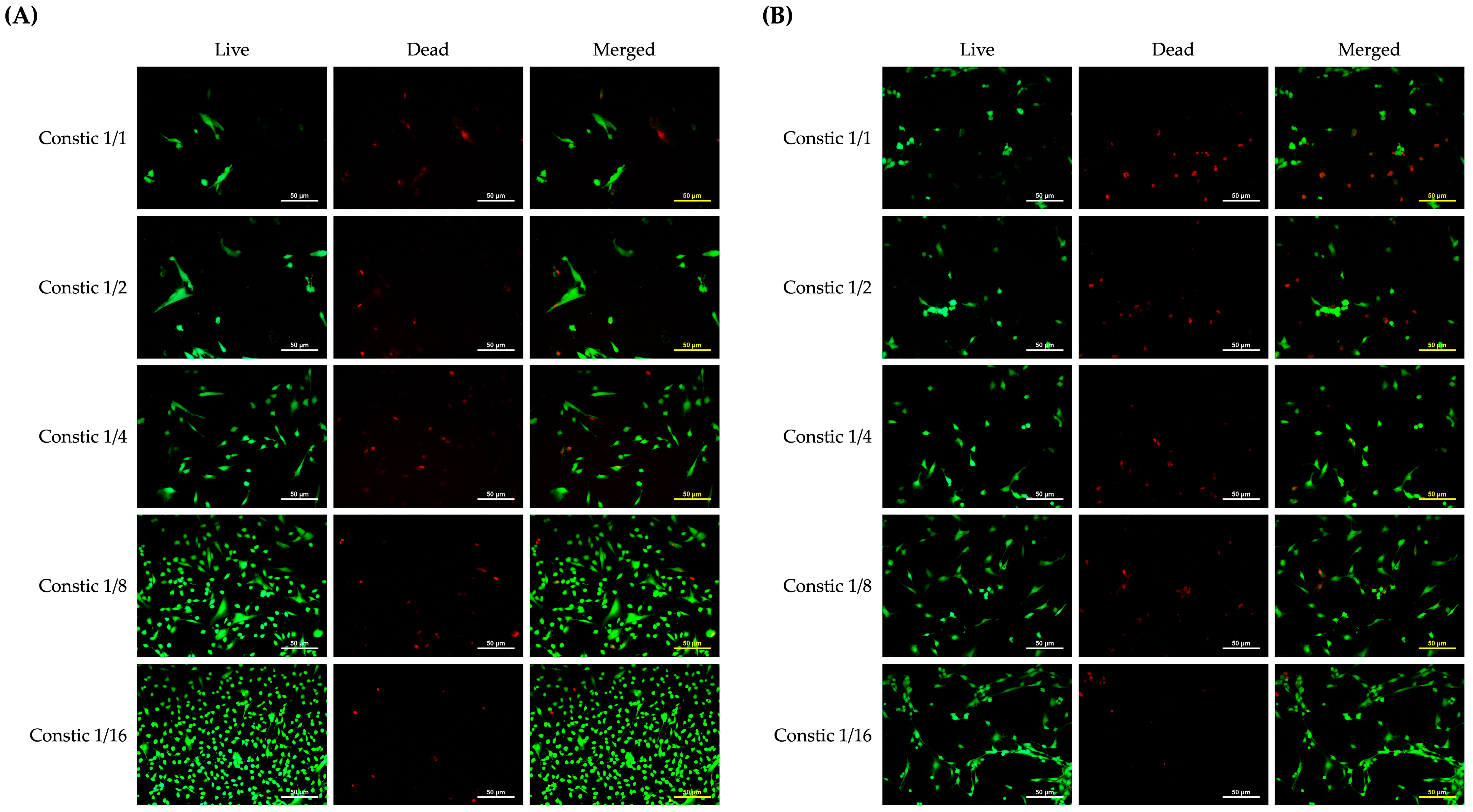 Jfb 17 00314 g010 Jfb 17 00314 g010