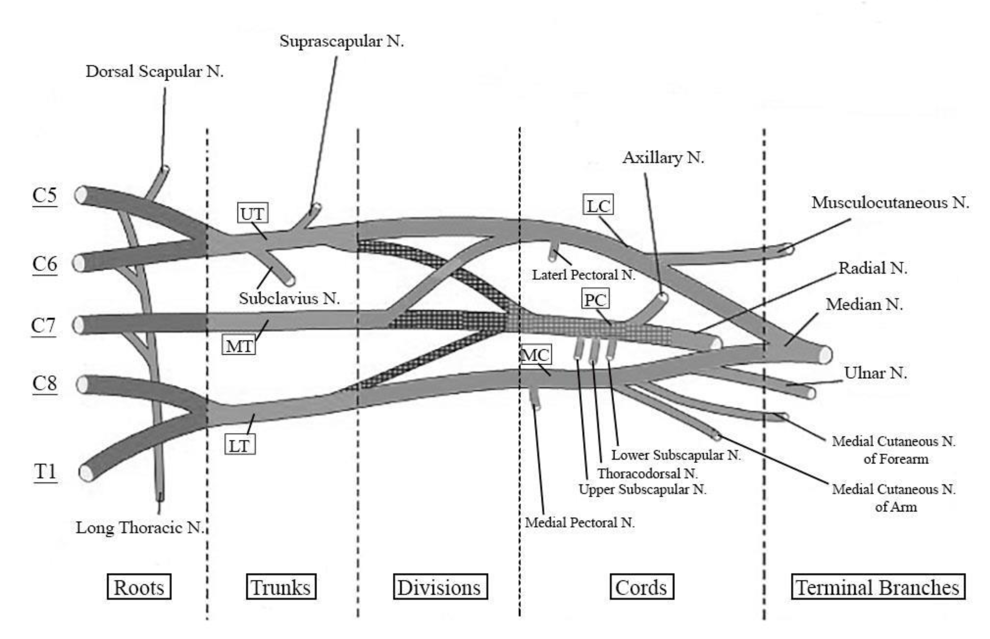 Jfmk 05 00022 g002 Jfmk 05 00022 g002