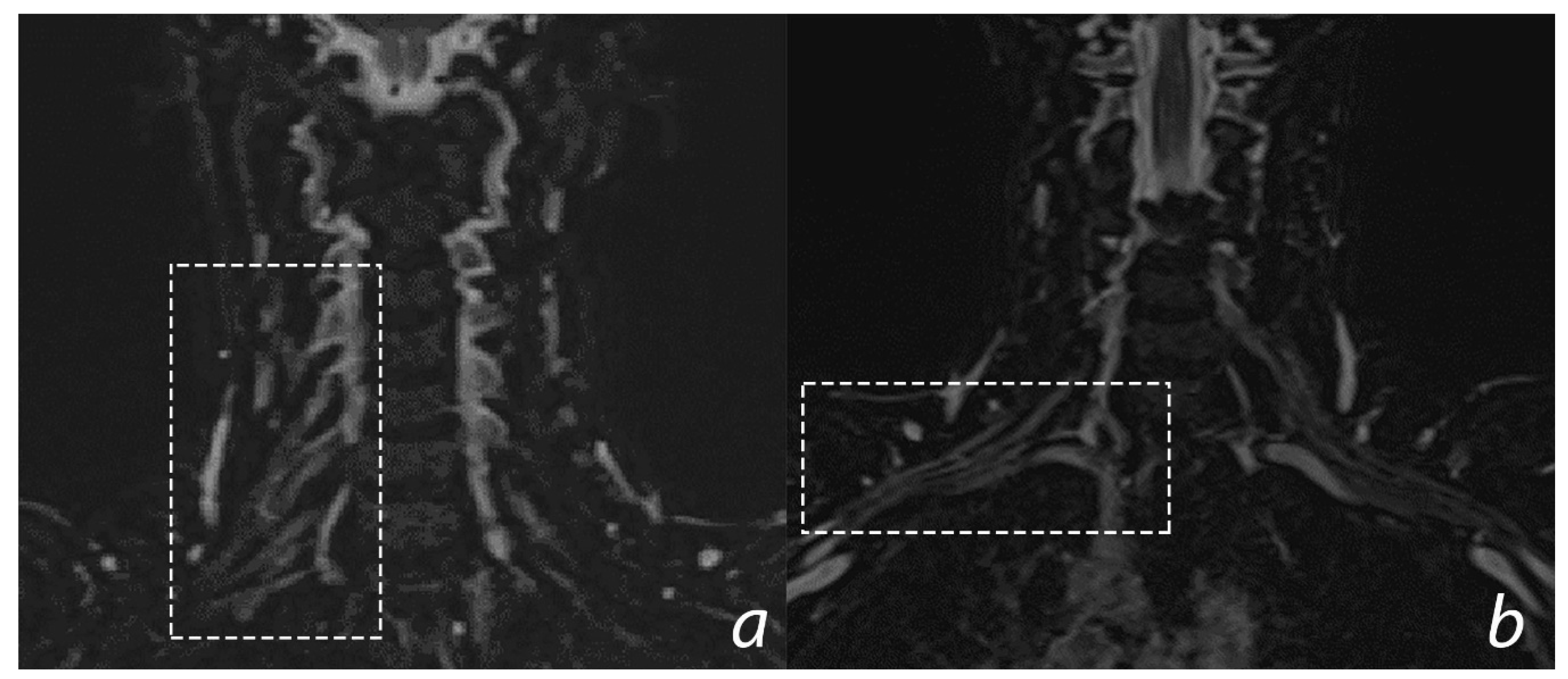 Jfmk 05 00022 g003 Jfmk 05 00022 g003