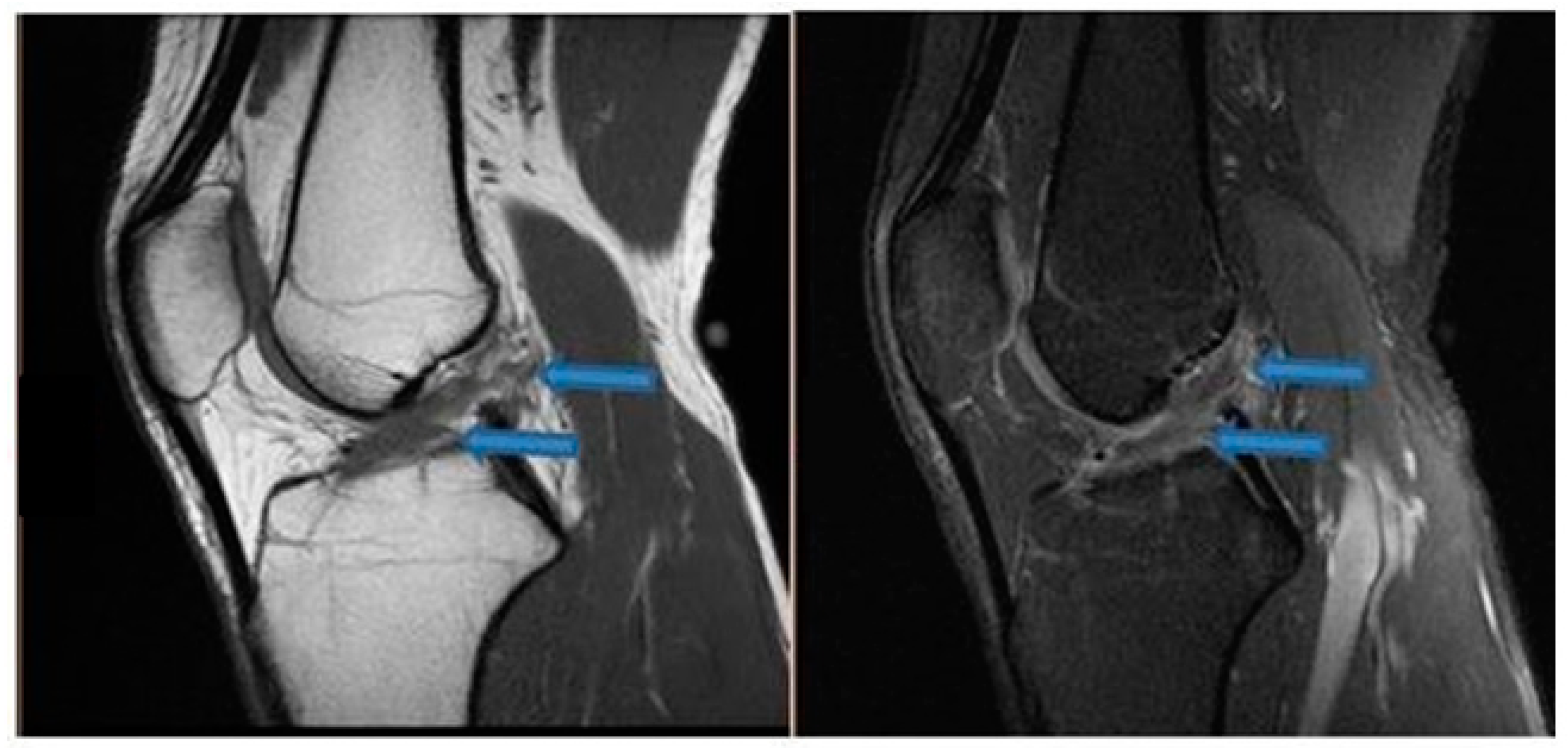 Jfmk 07 00100 g001 Jfmk 07 00100 g001