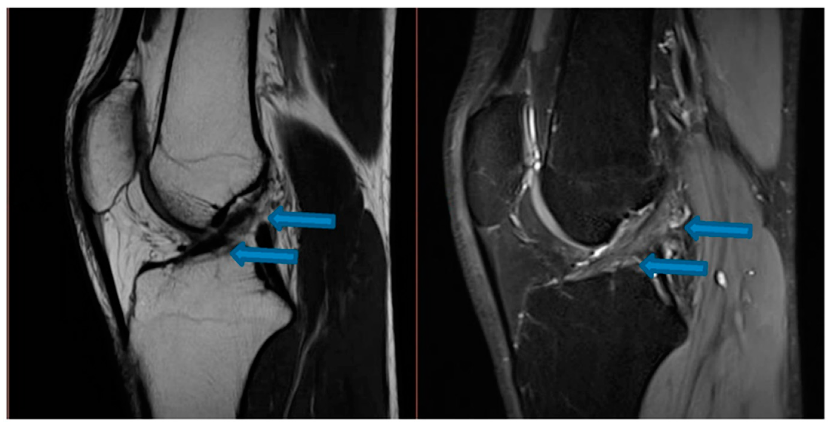 Jfmk 07 00100 g002 Jfmk 07 00100 g002