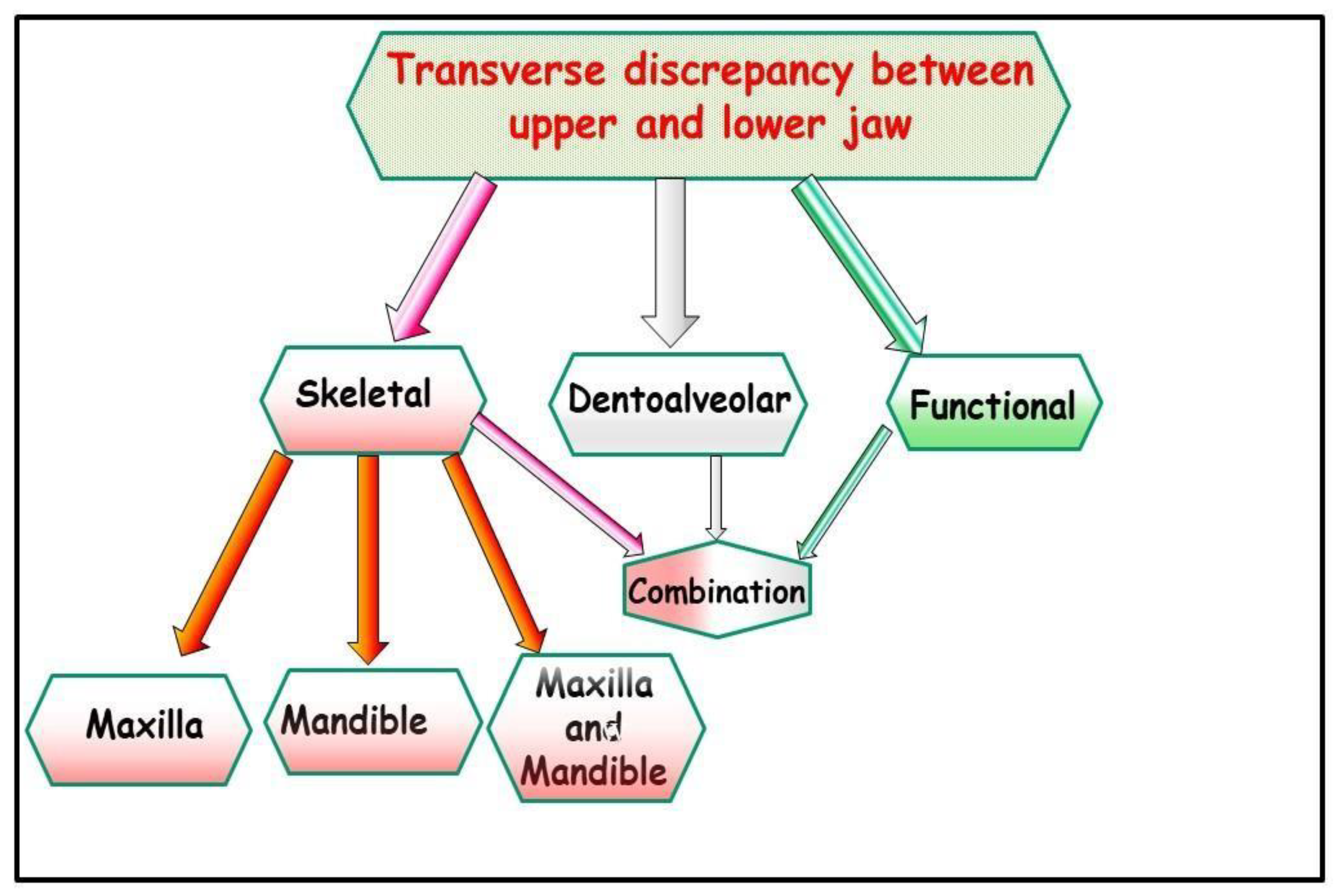 Jfmk 09 00051 g001 Jfmk 09 00051 g001