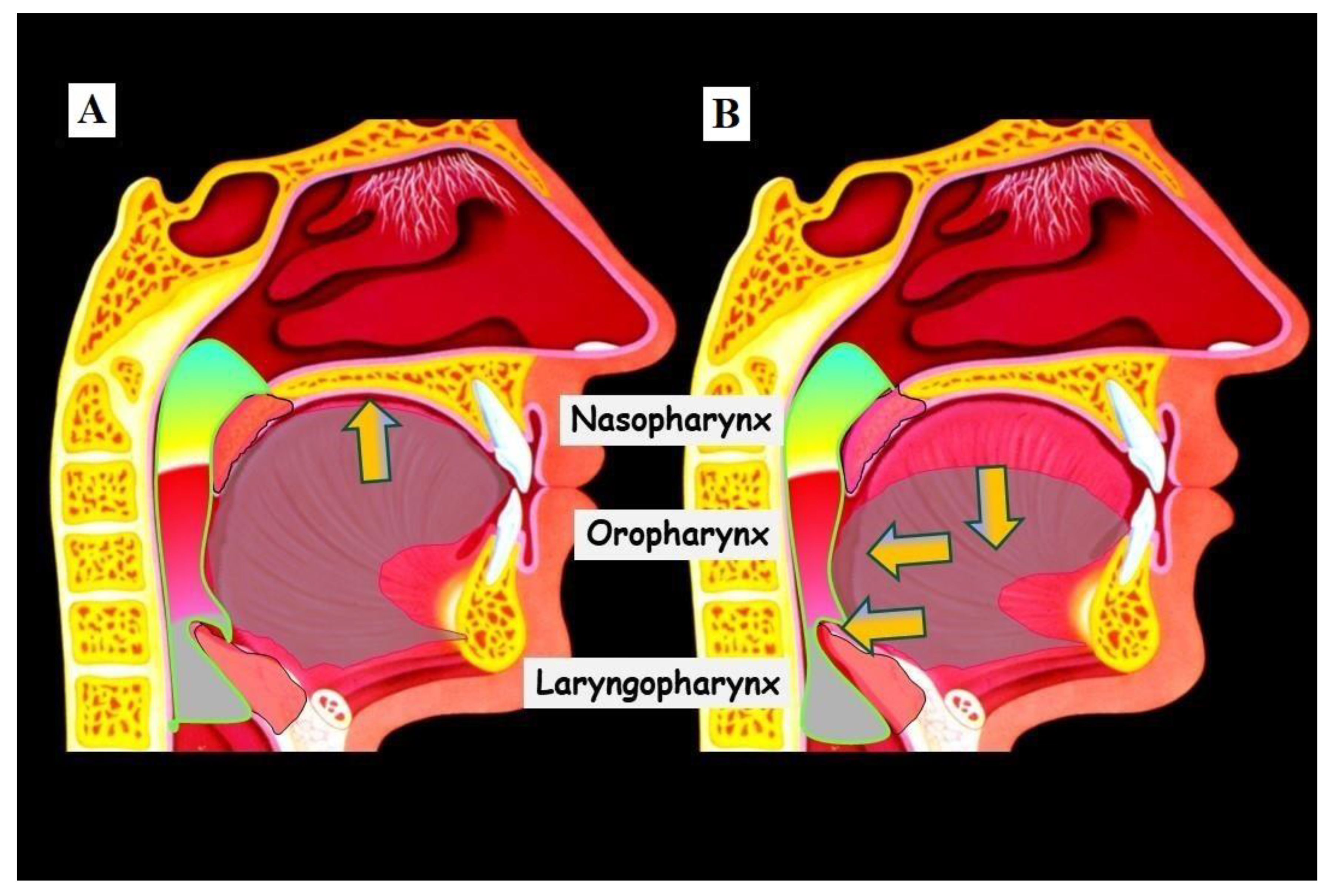Jfmk 09 00051 g005 Jfmk 09 00051 g005
