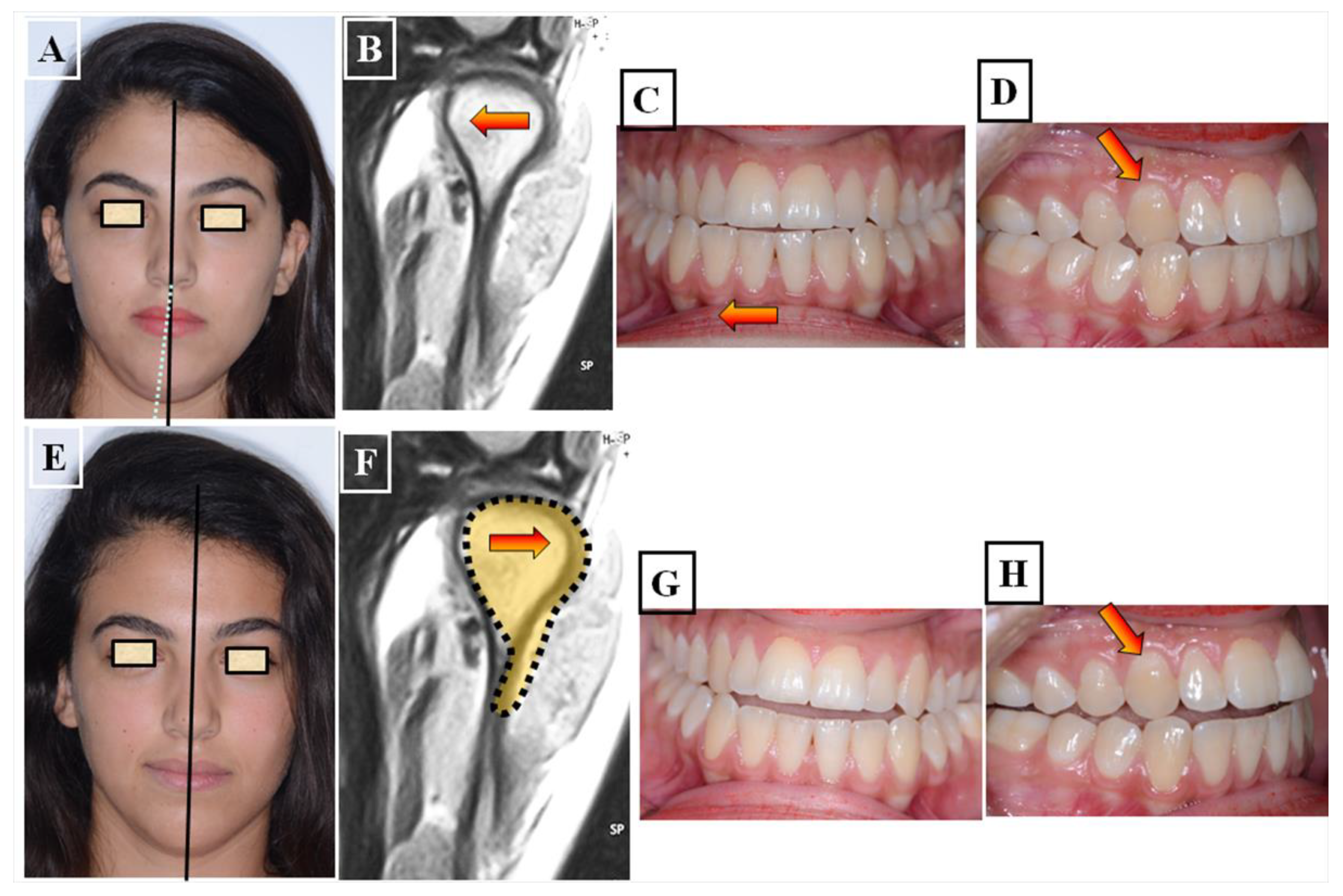 Jfmk 09 00051 g008 Jfmk 09 00051 g008