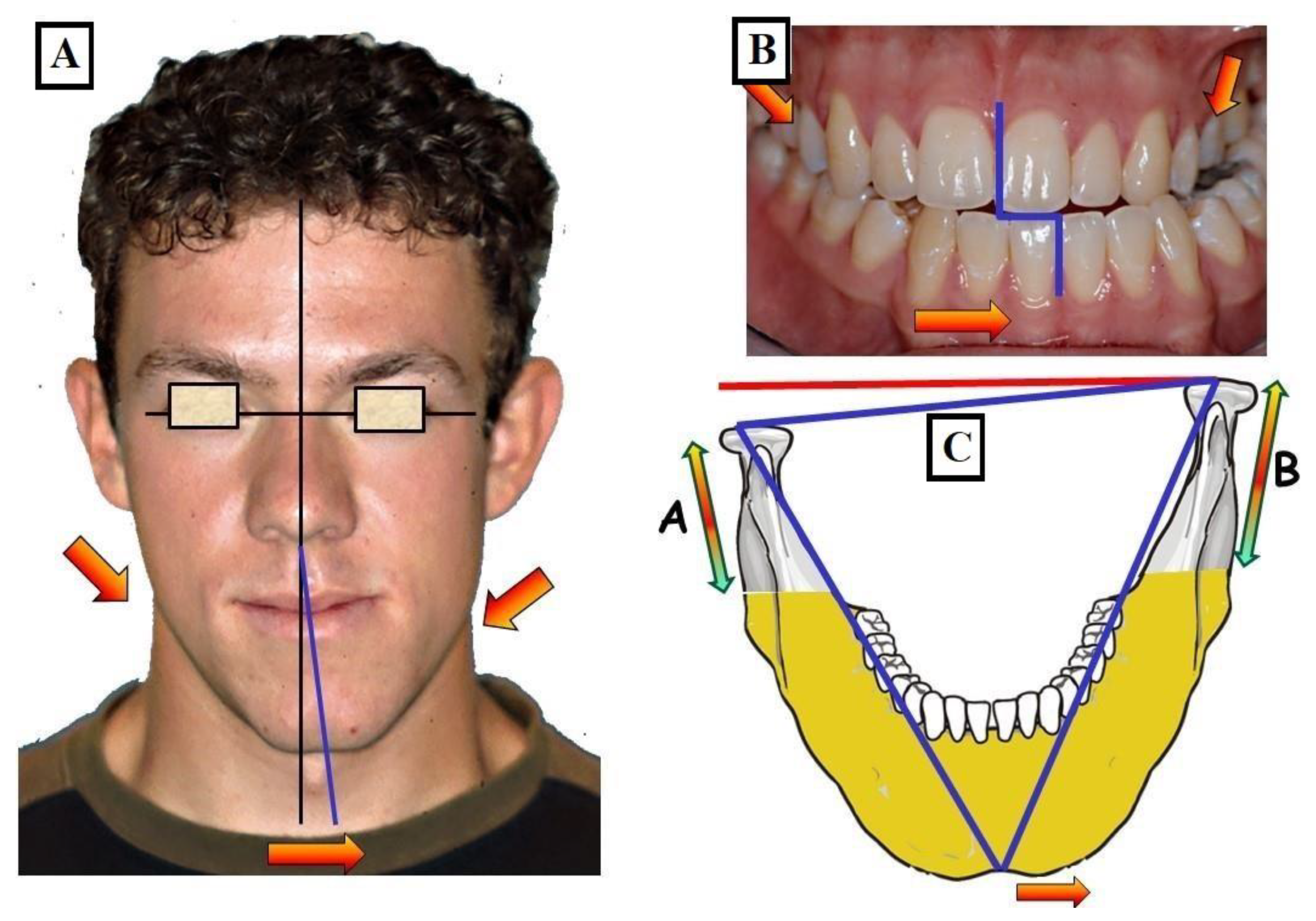 Jfmk 09 00051 g013 Jfmk 09 00051 g013