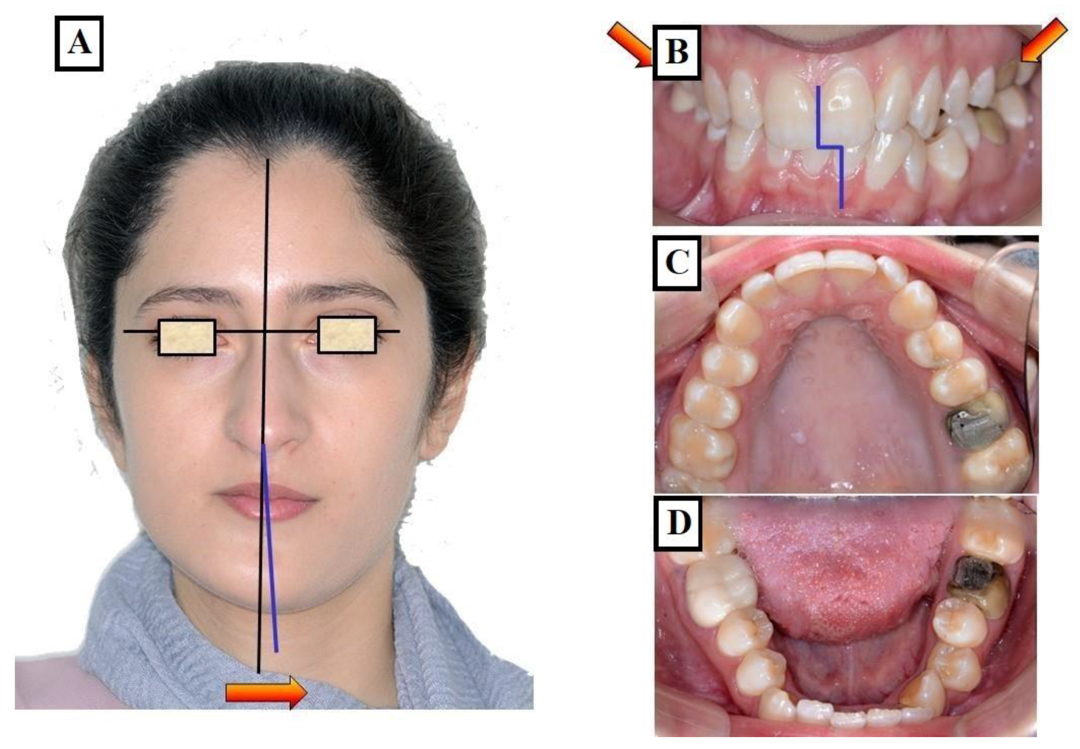 Jfmk 09 00051 g014 Jfmk 09 00051 g014