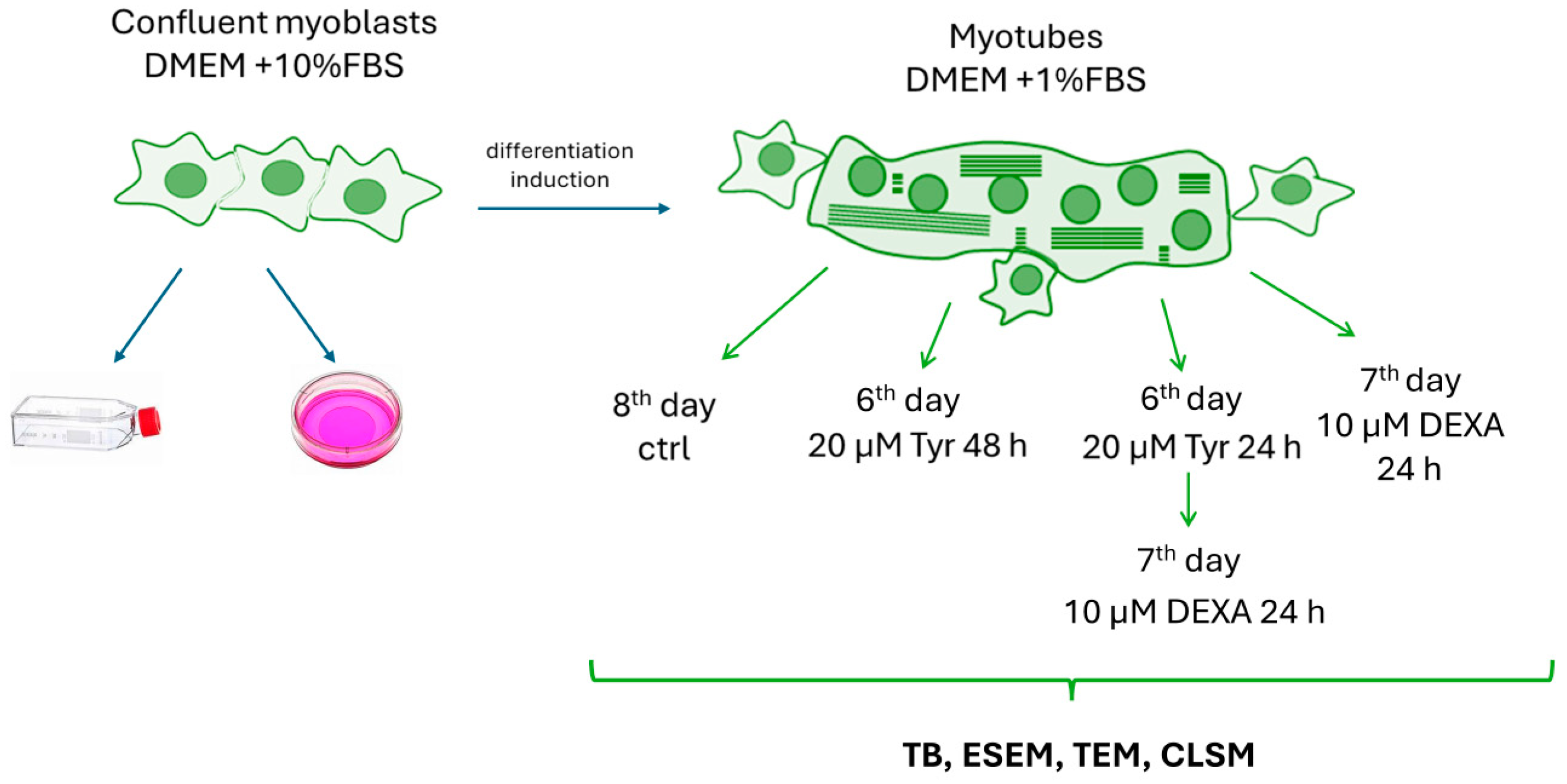 Jfmk 09 00124 sch001