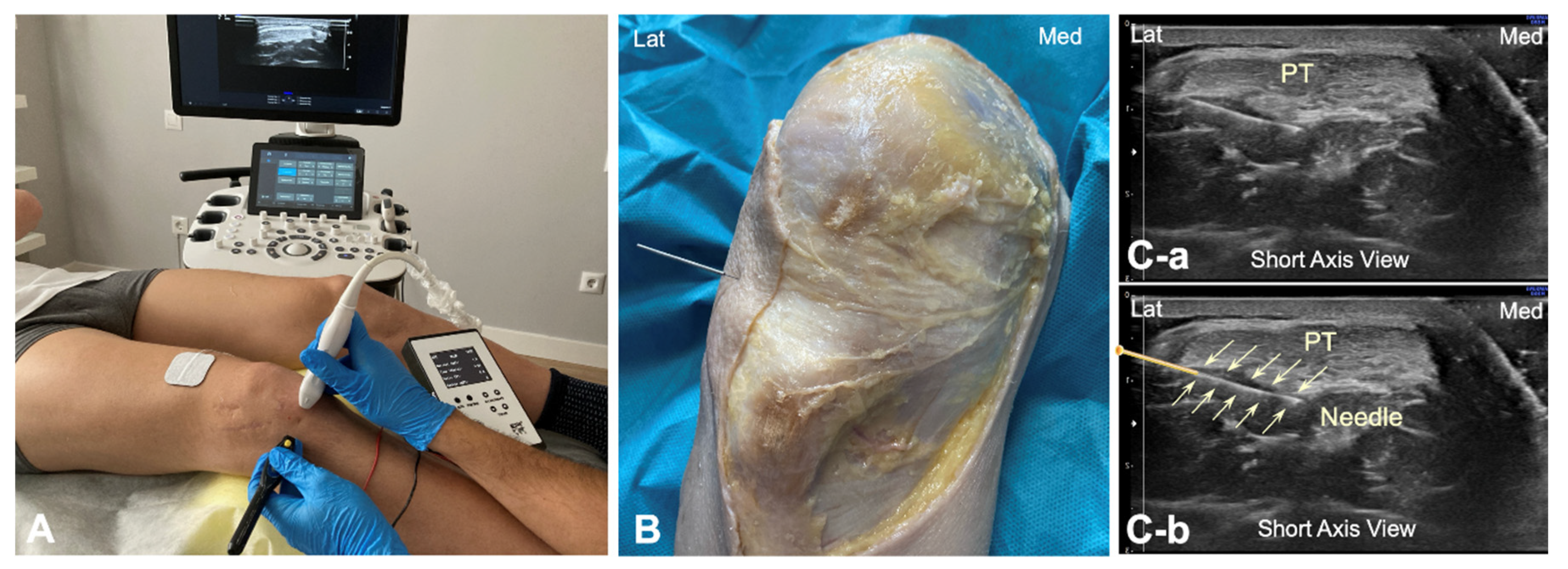 Jfmk 10 00208 g003 Jfmk 10 00208 g003