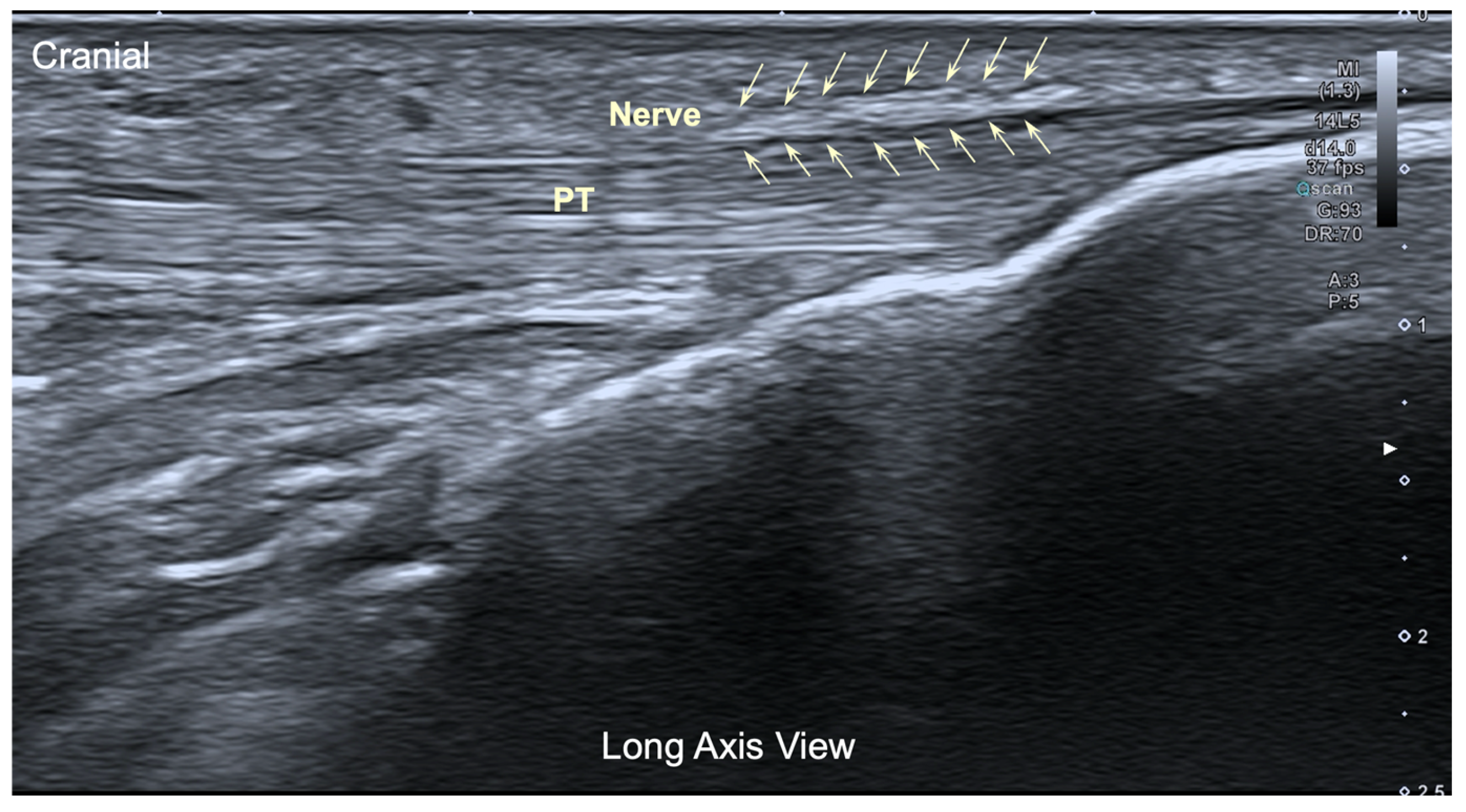 Jfmk 10 00208 g004 Jfmk 10 00208 g004