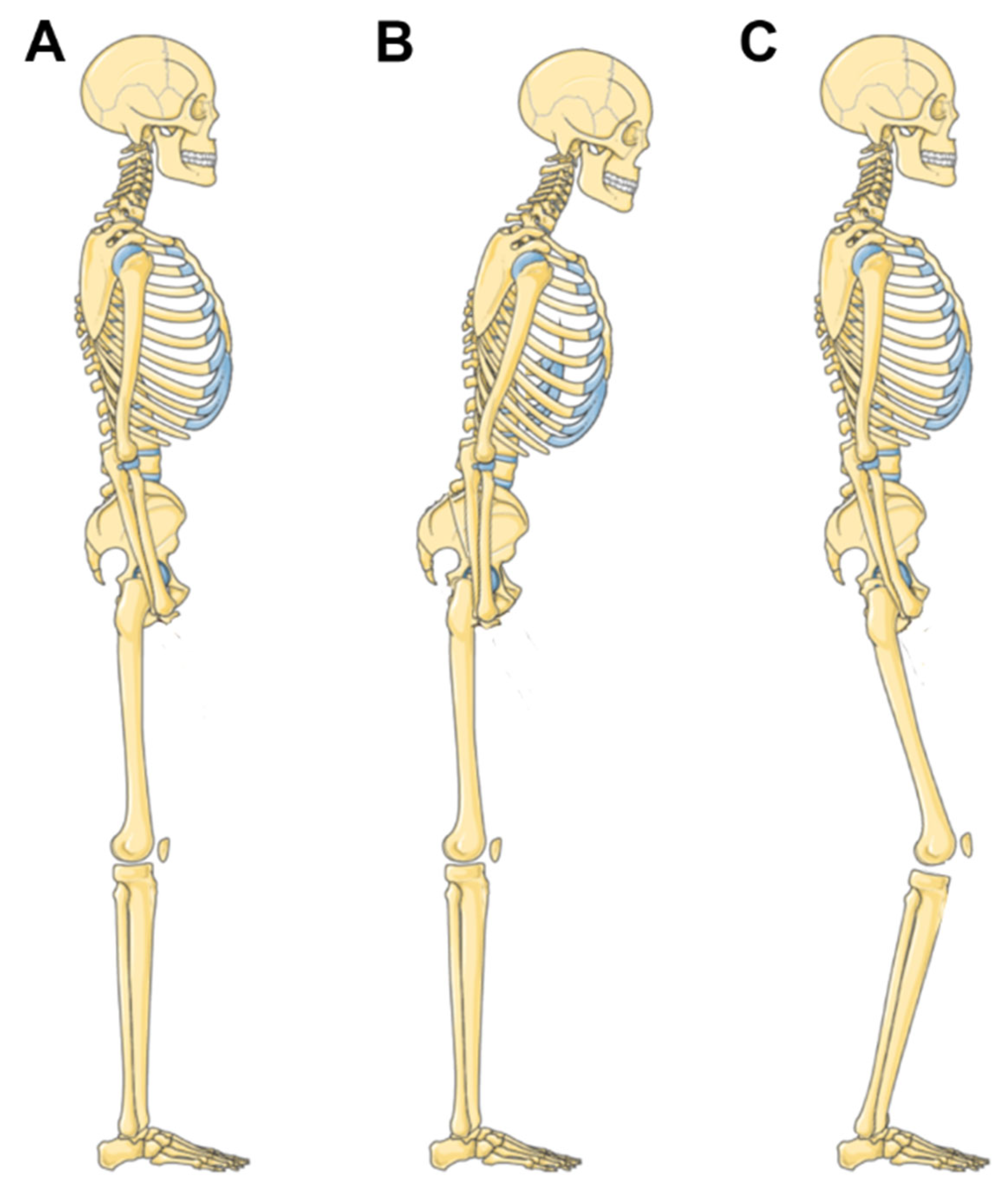 Jfmk 11 00011 g002 Jfmk 11 00011 g002