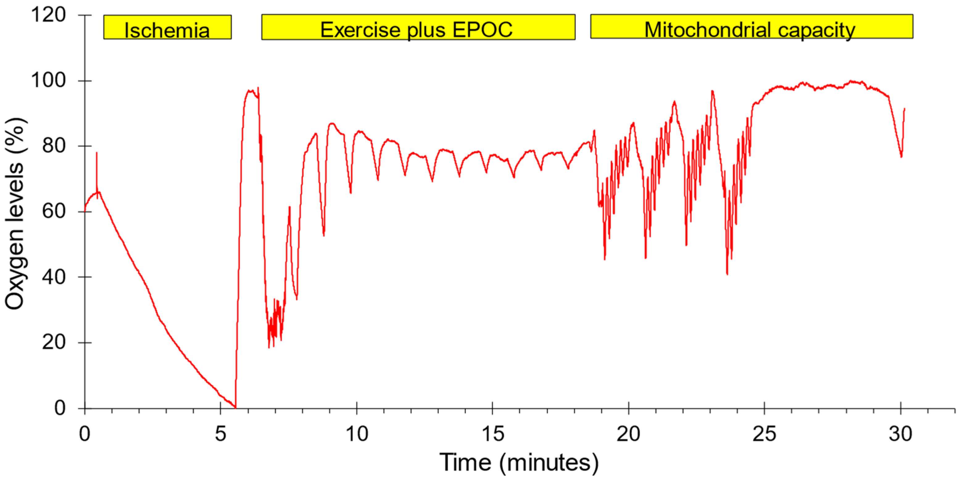 Jfmk 11 00055 g001 Jfmk 11 00055 g001