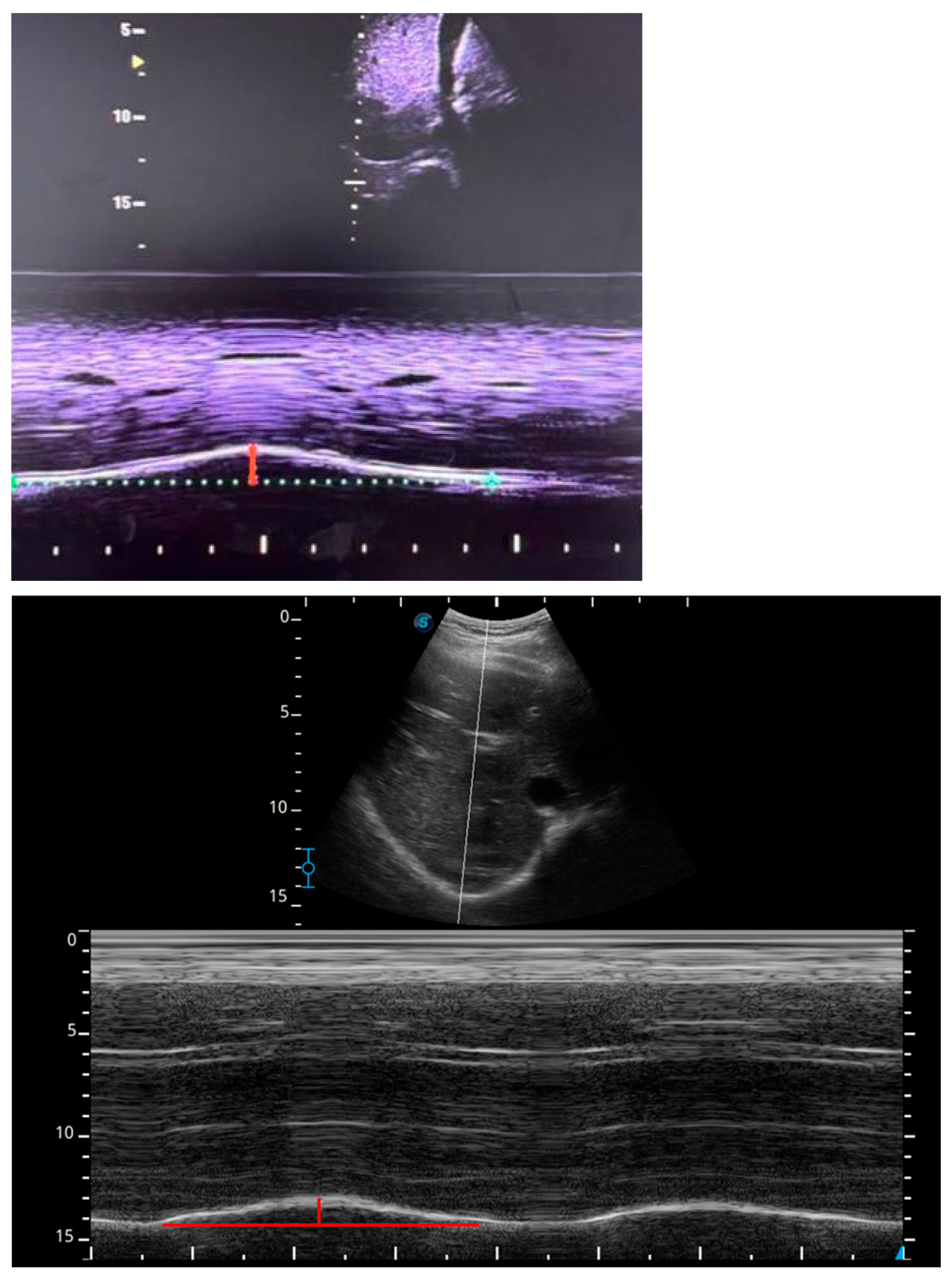 Jfmk 11 00064 g001 Jfmk 11 00064 g001