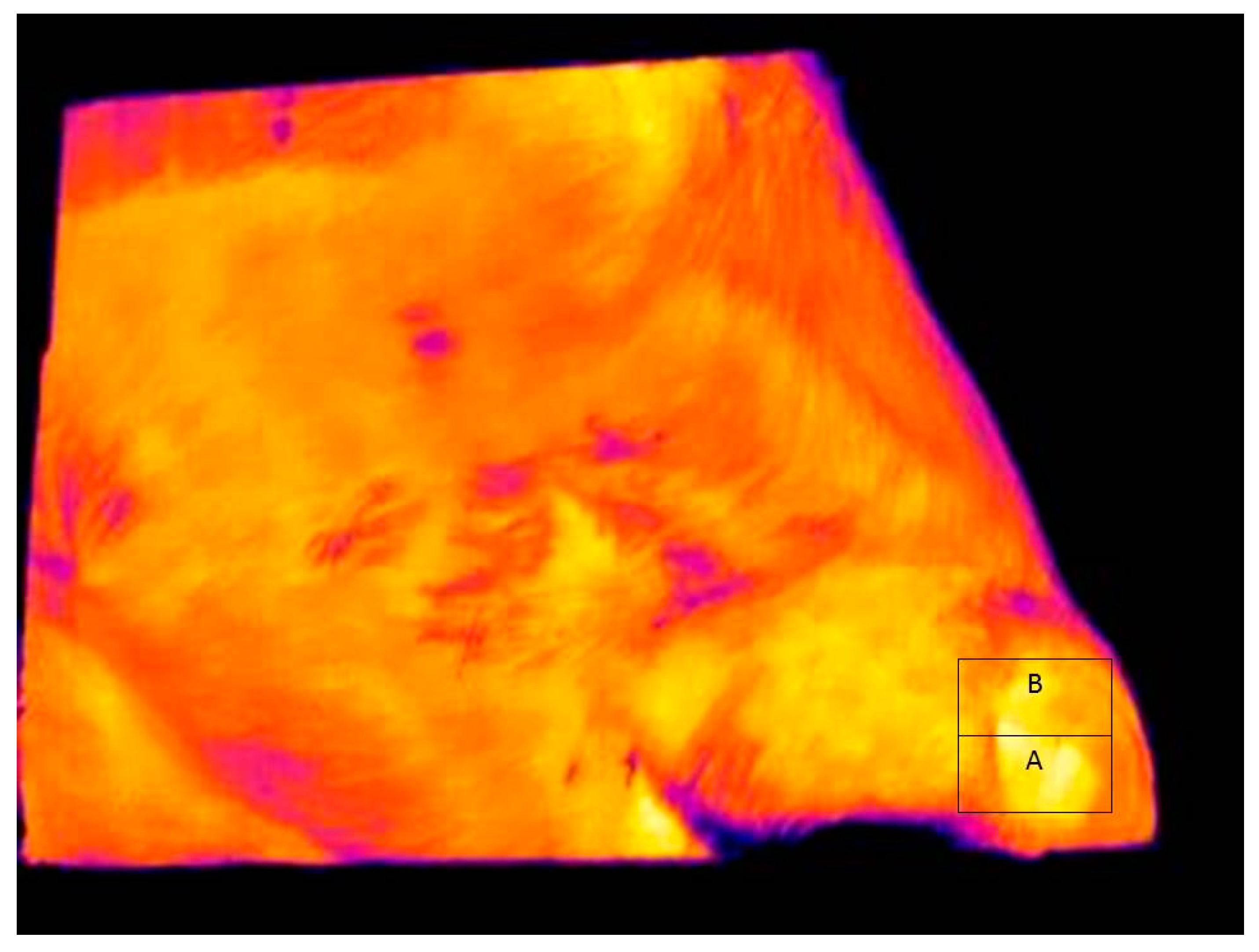 Jimaging 02 00021 g004