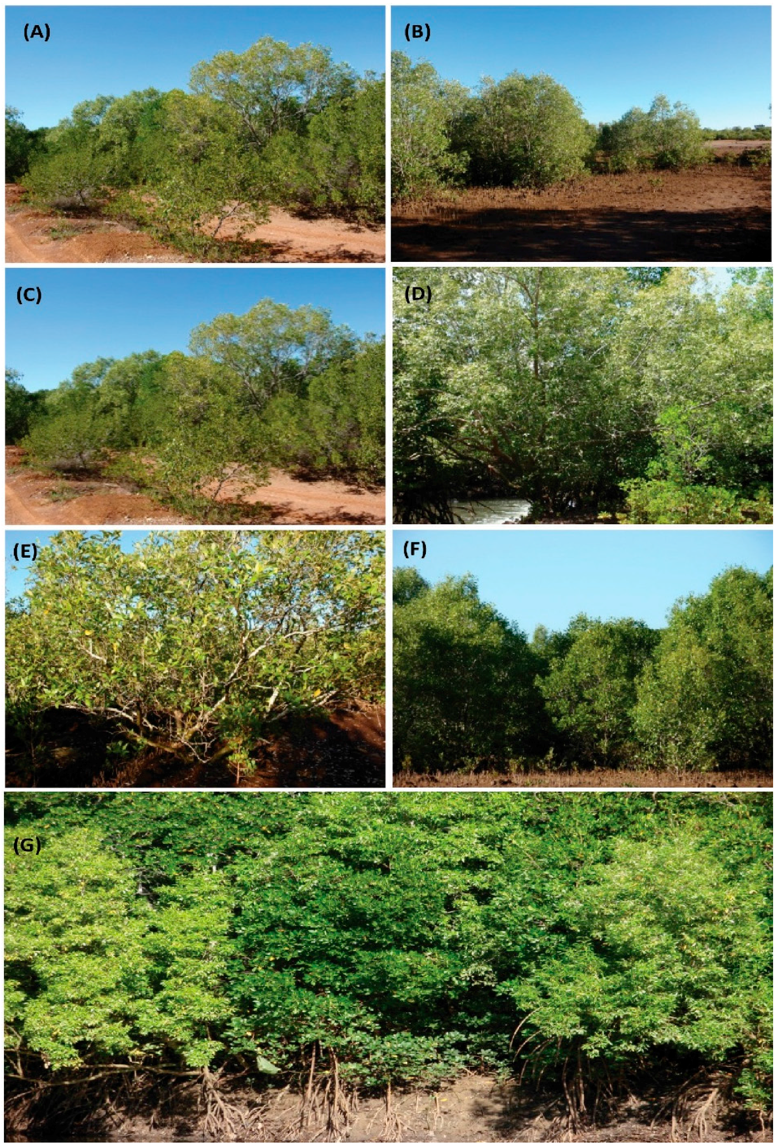 Jimaging 02 00024 g002