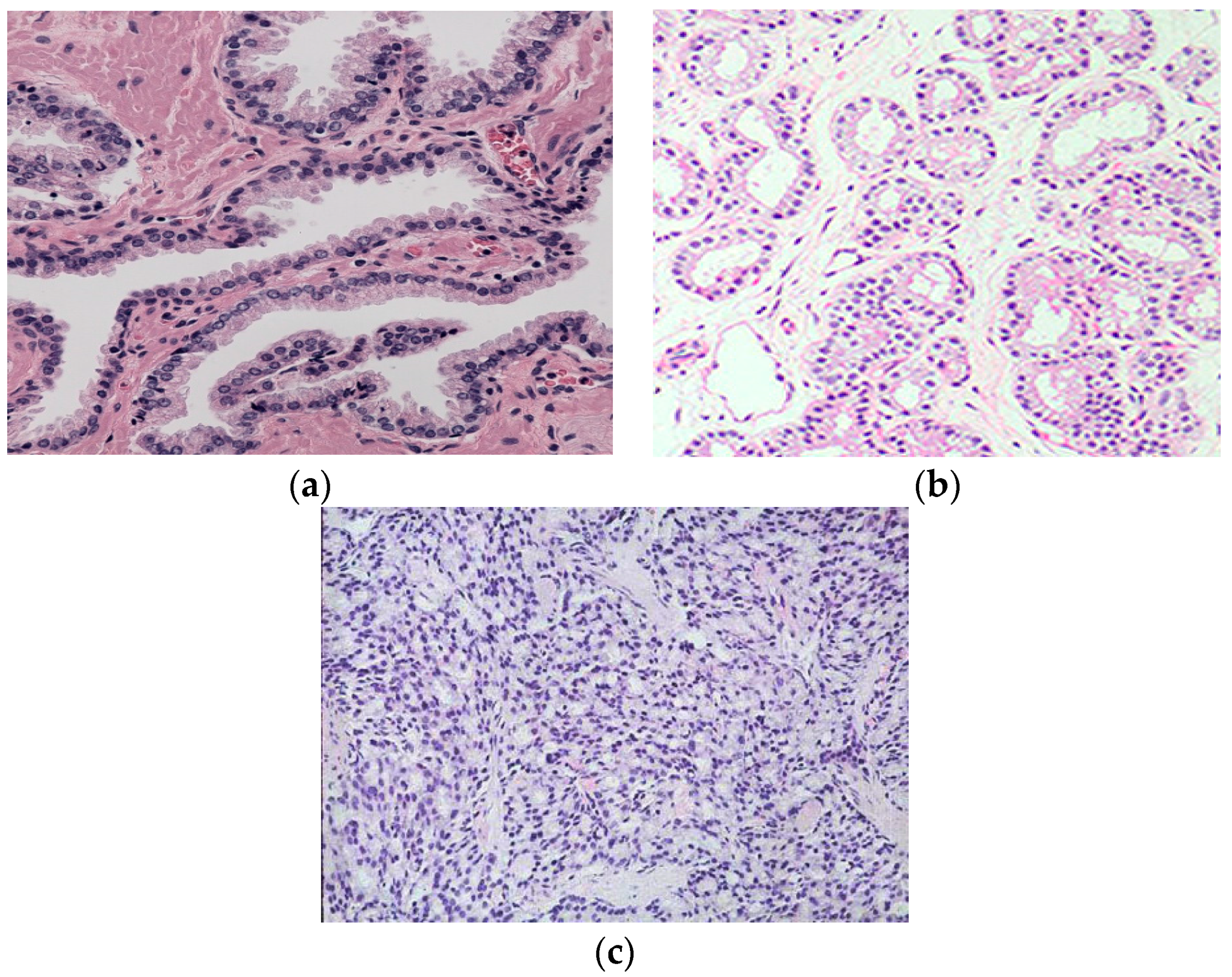 Jimaging 02 00025 g002